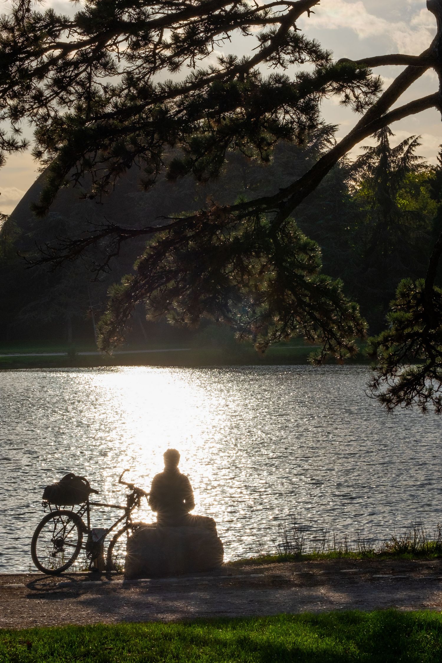 Silhouette of a cyclist and lake at sunset with overhanging tree branches.