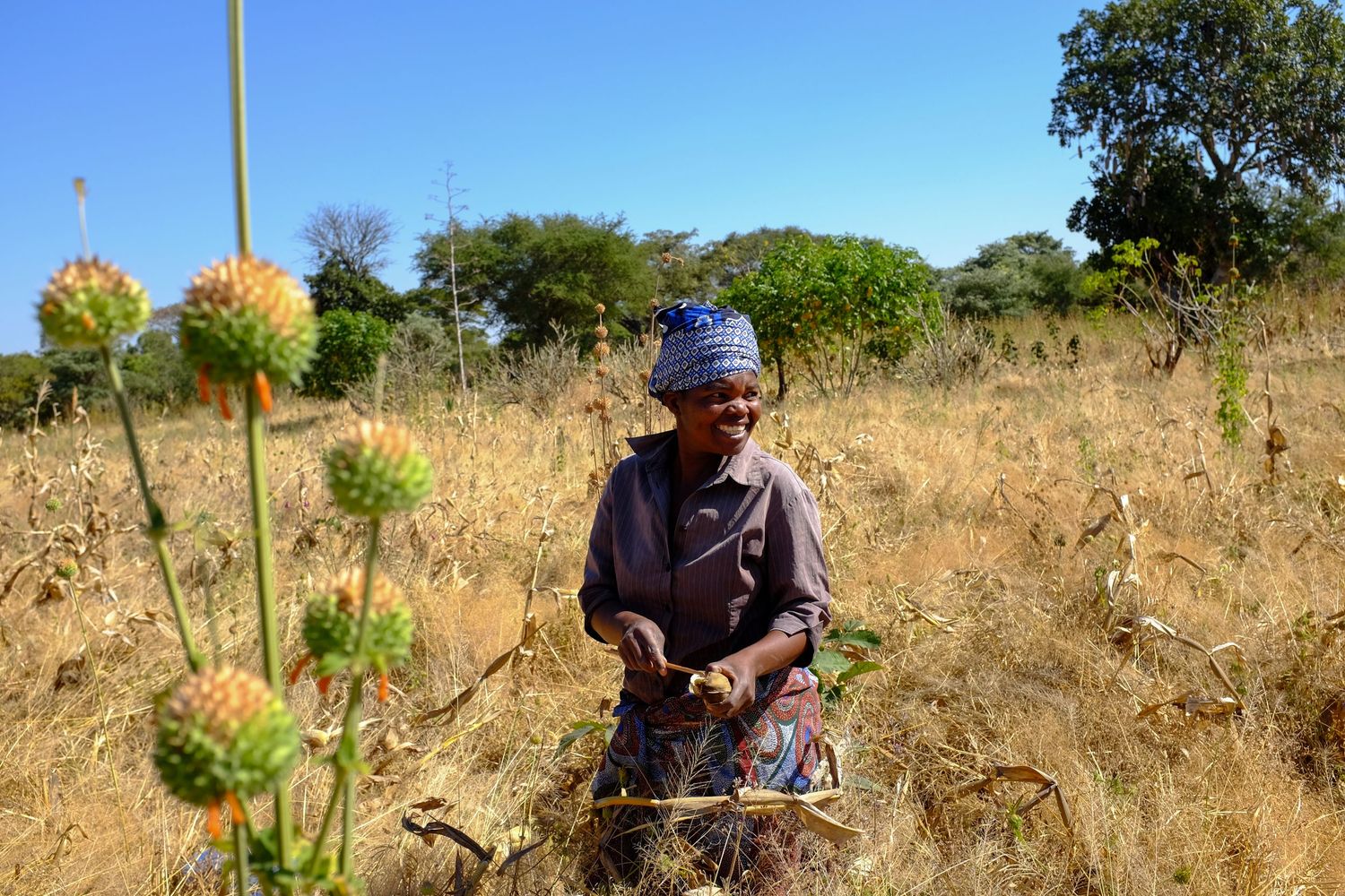 Person working in dry grassland with measuring equipment.