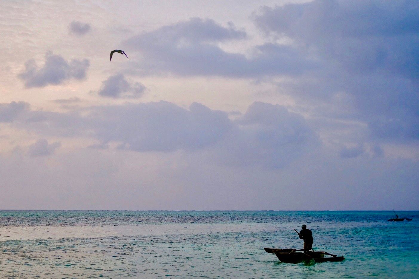 A scenic beach landscape with turquoise waters, parasailing activities, and a boat silhouetted against the ocean horizon.