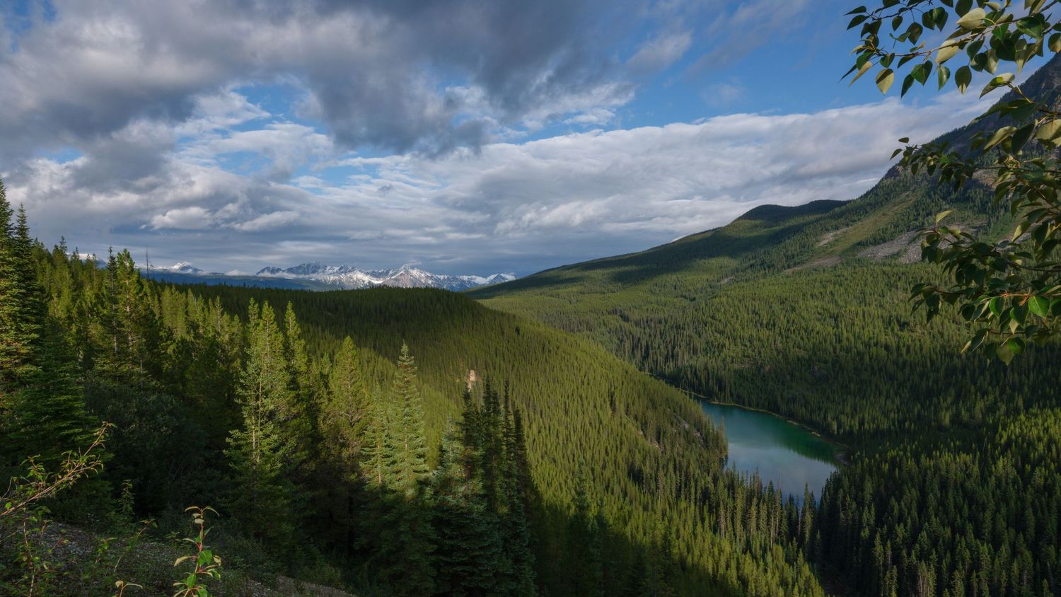 Sweeping mountain vista with evergreen forests and dramatic clouds over rolling peaks.