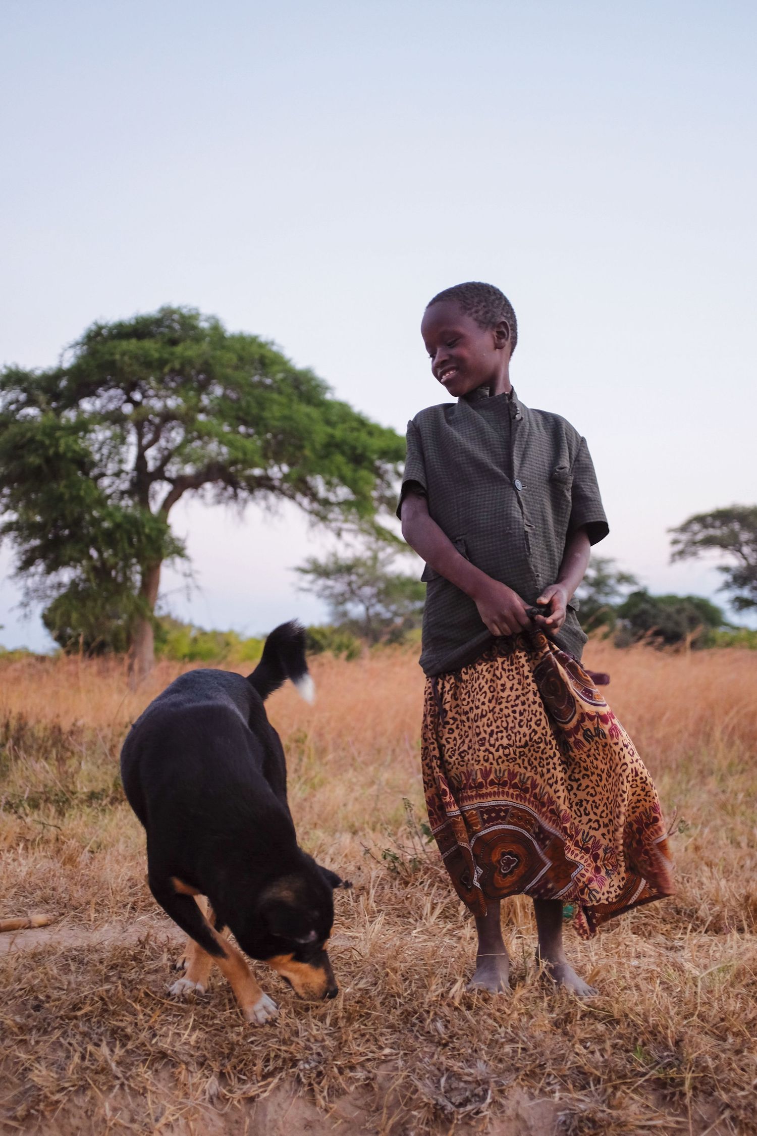 A black dog and someone in a leopard print skirt walk together in a grassy savanna landscape with acacia trees.