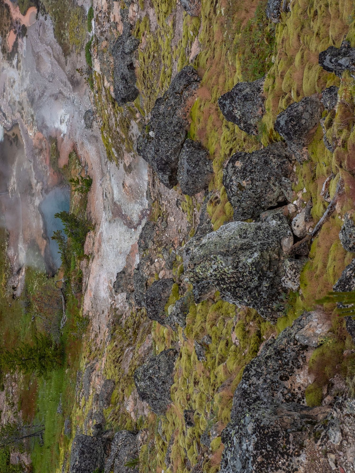 Weathered rock face covered in moss and mineral deposits creating natural patterns.