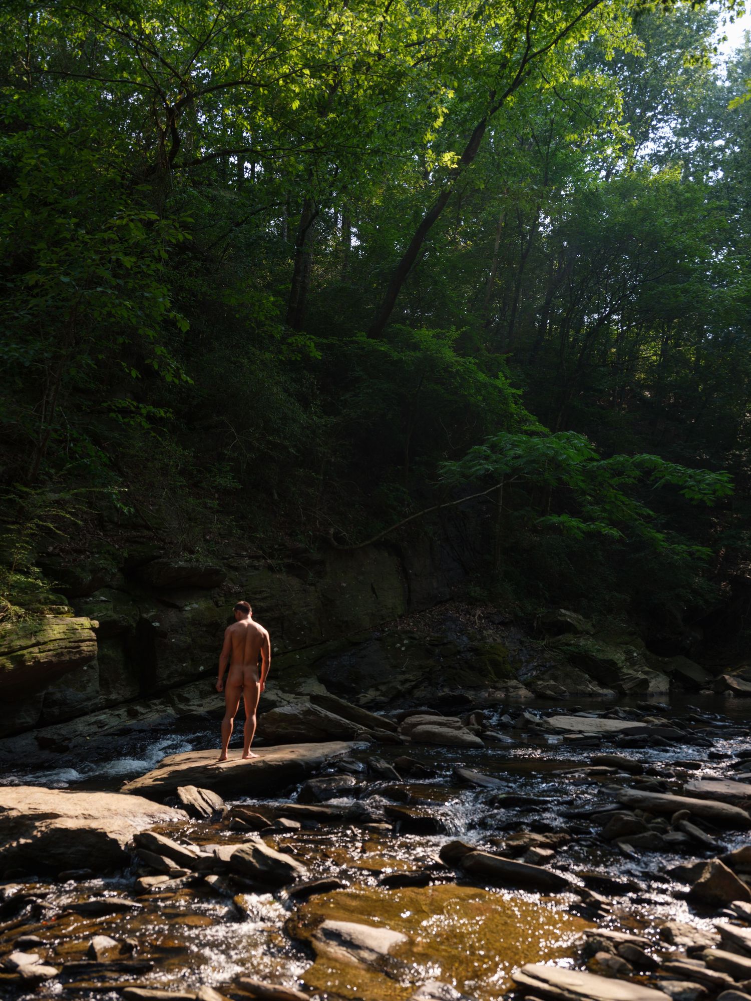Rocky creek bed surrounded by lush green forest on a sunny day.