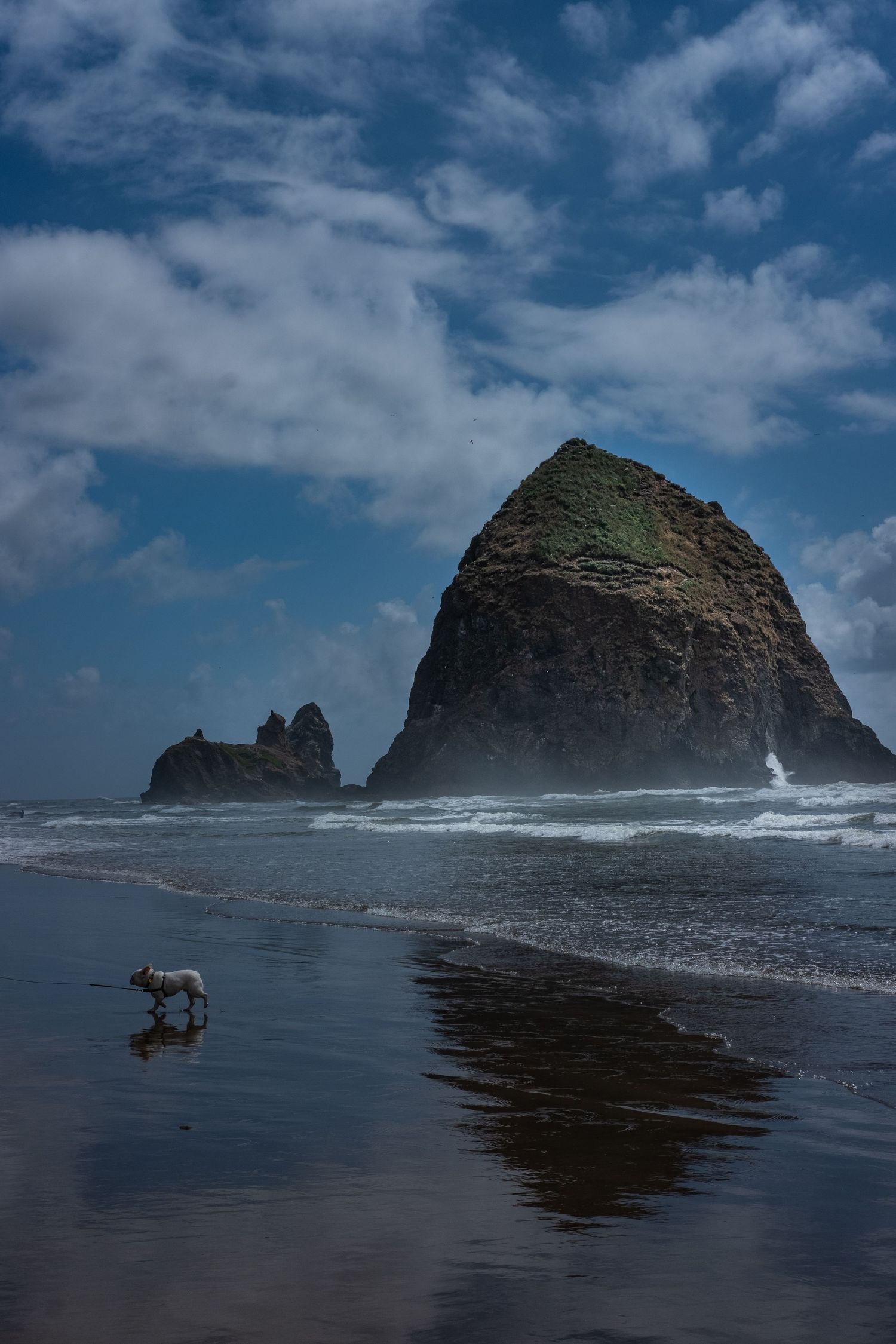 Dramatic coastal scene of Haystack Rock at Cannon Beach with waves crashing against dark shores.