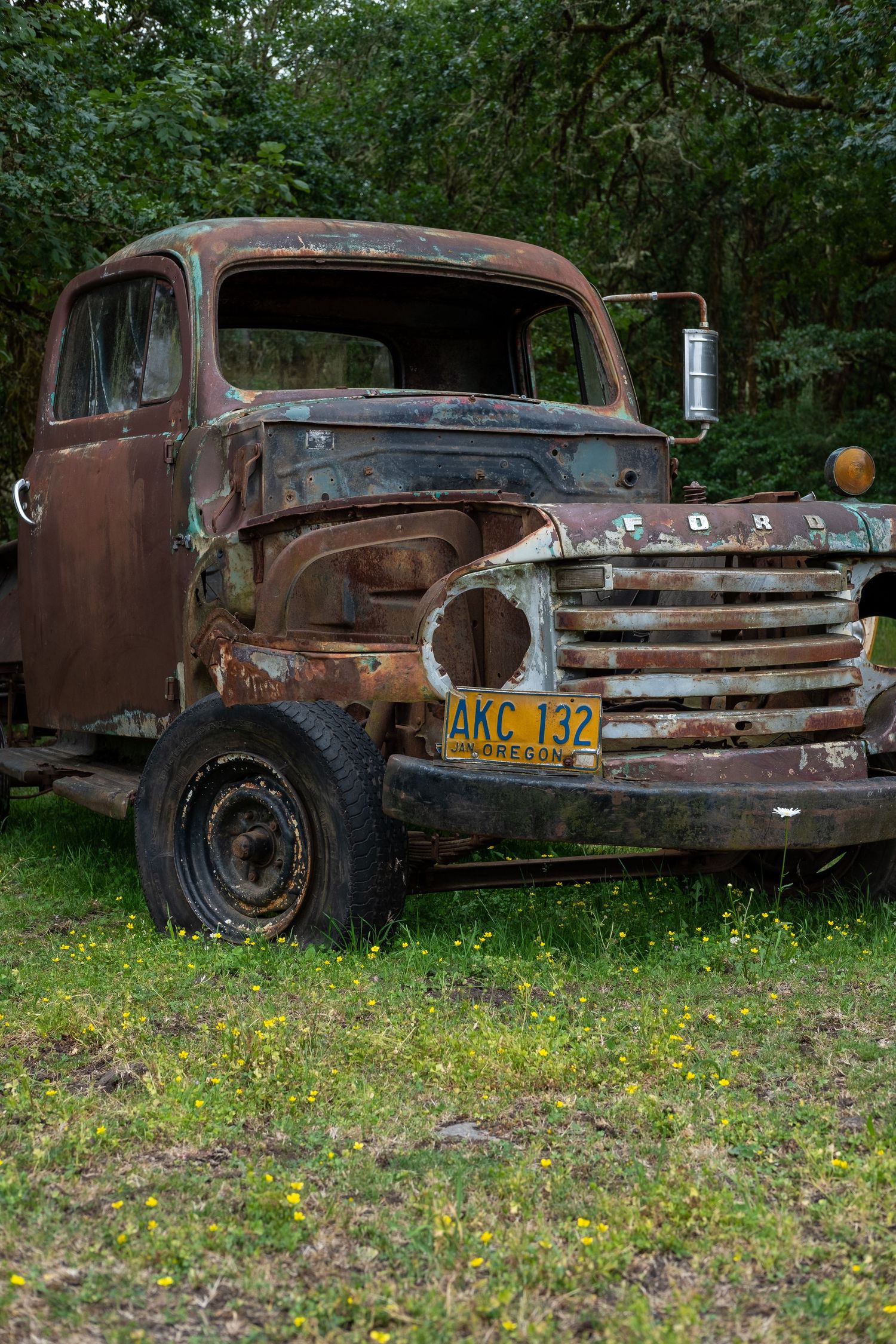 Rusty abandoned vintage Ford truck lying in a field of yellow wildflowers.