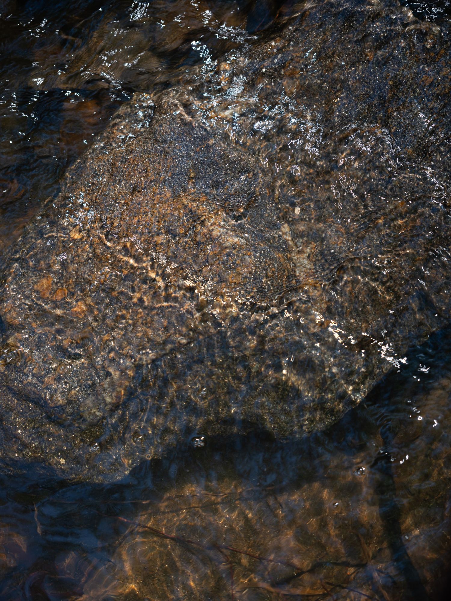 Rocky riverbed with mineral deposits creating abstract patterns in earthy tones.