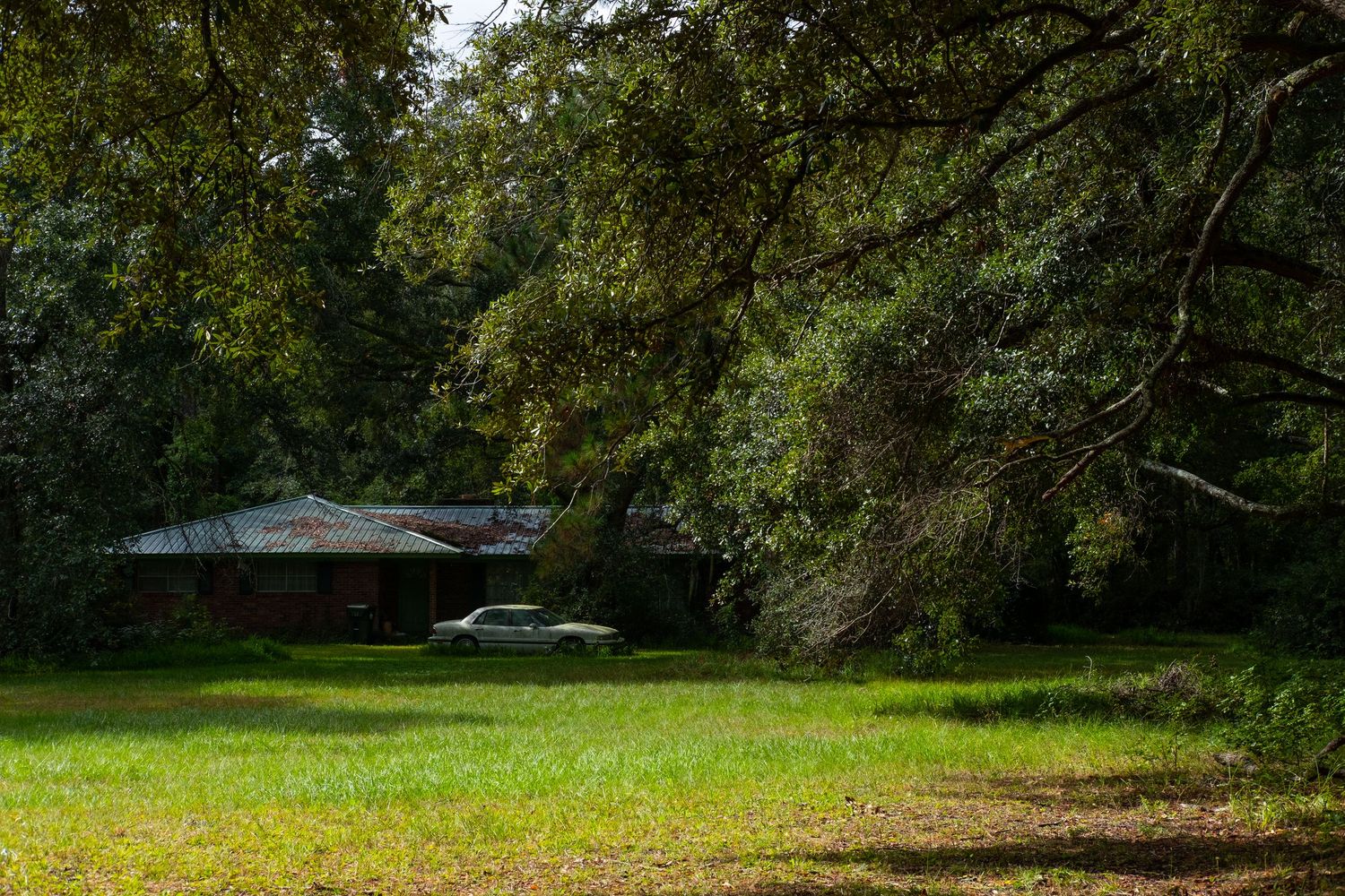 Lush green trees and grass create a peaceful park landscape.