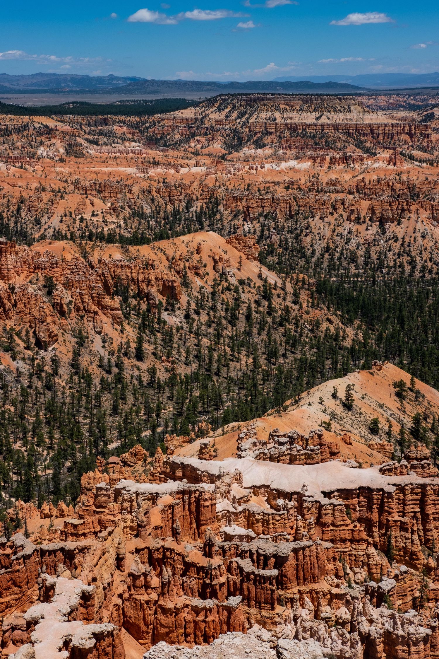 Aerial view of Bryce Canyon's orange hoodoos and pine forests under bright blue skies.