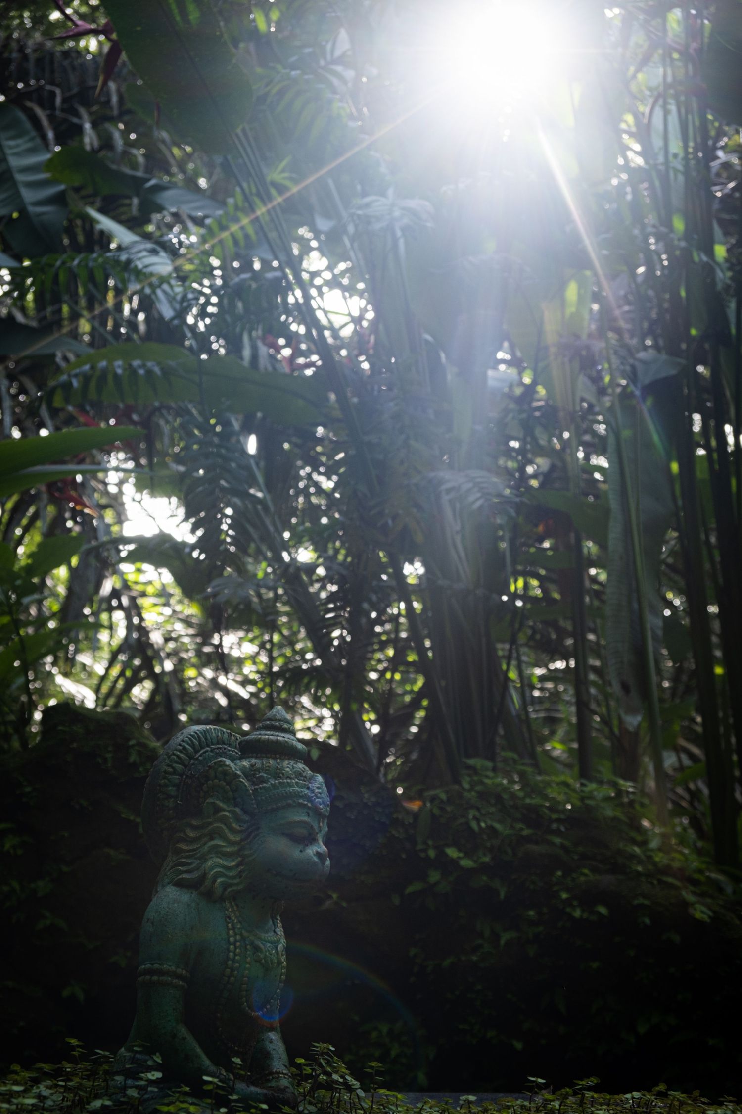 Bali dreaming