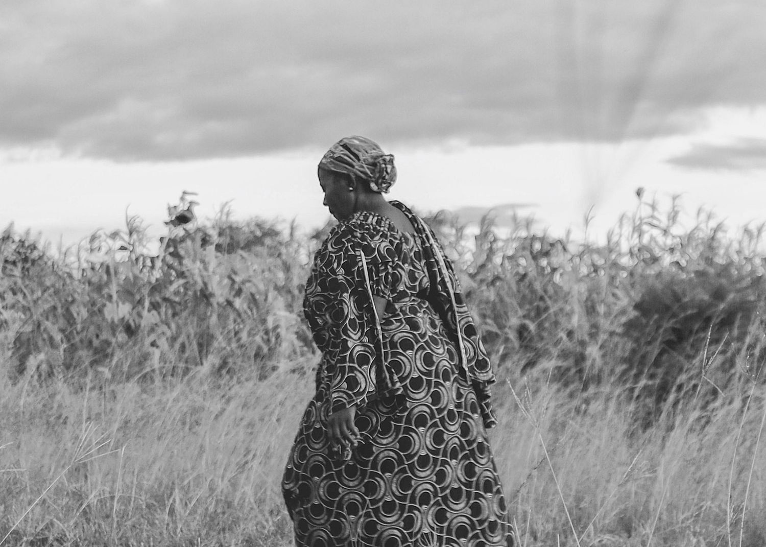 Silhouettes of figures stand in tall grass against a cloudy sky.