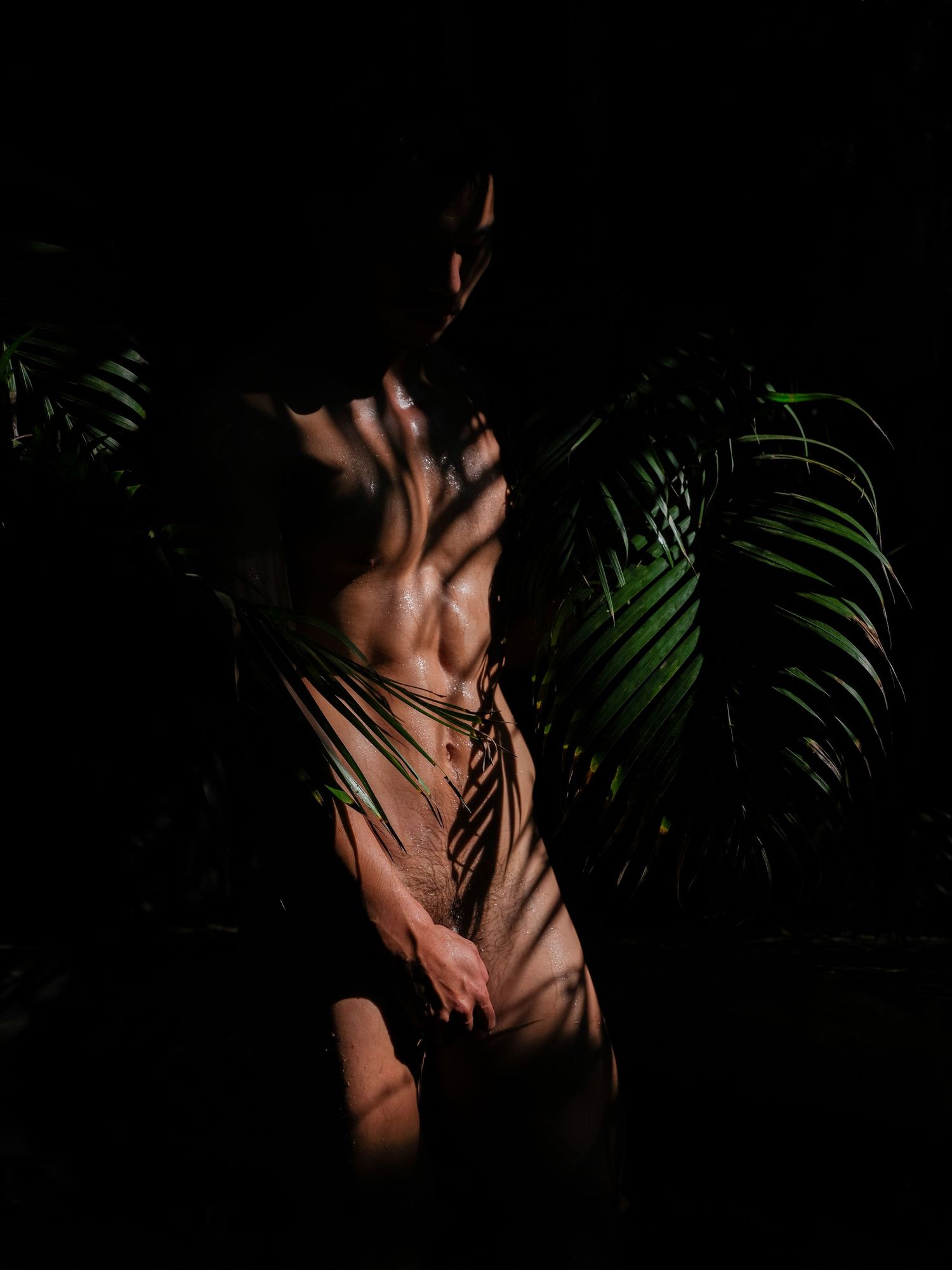 Artistic low-key photography of shadows and light in a tropical setting.