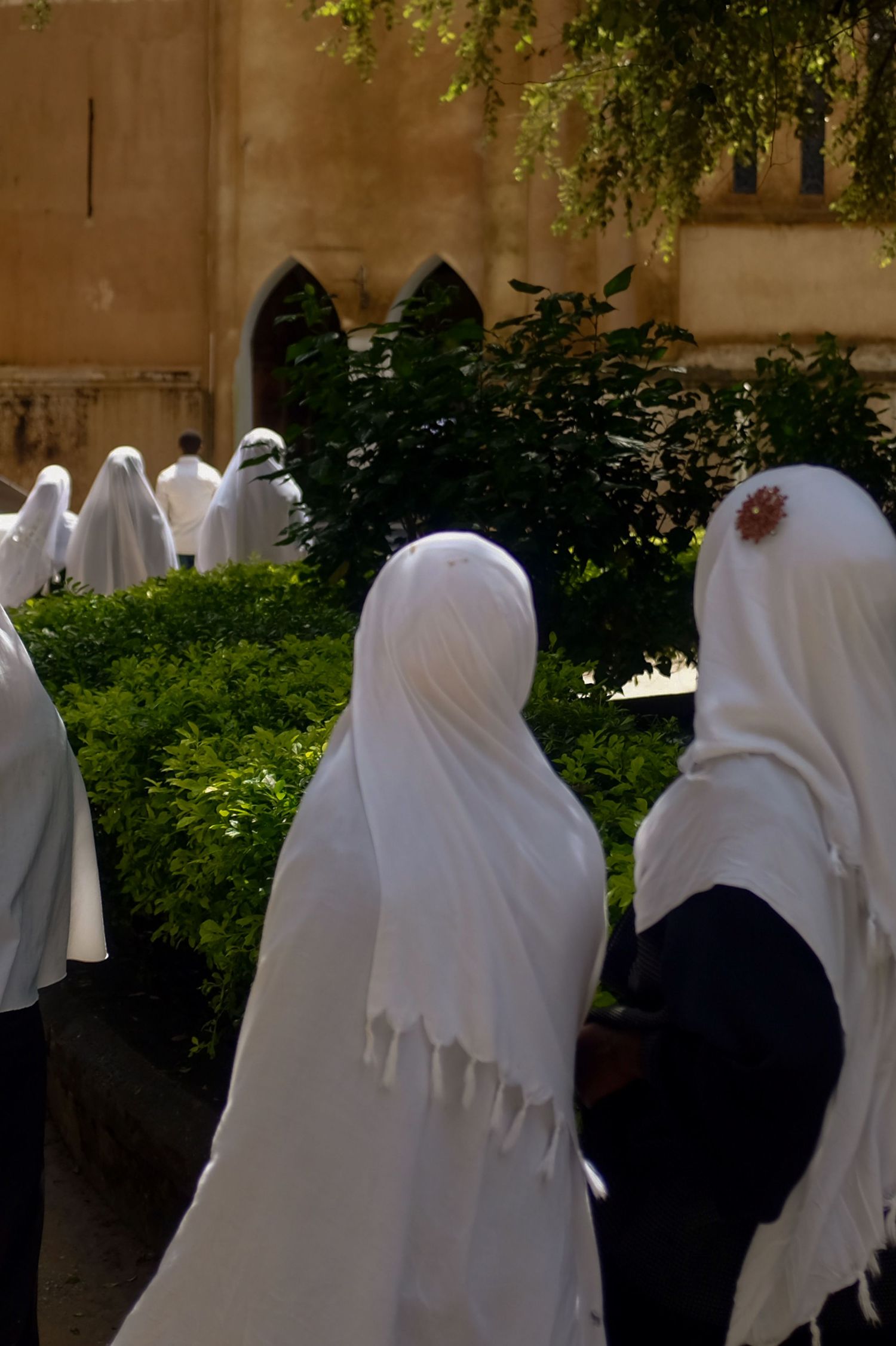 A group of nuns in white habits gather in a garden courtyard of a religious building.