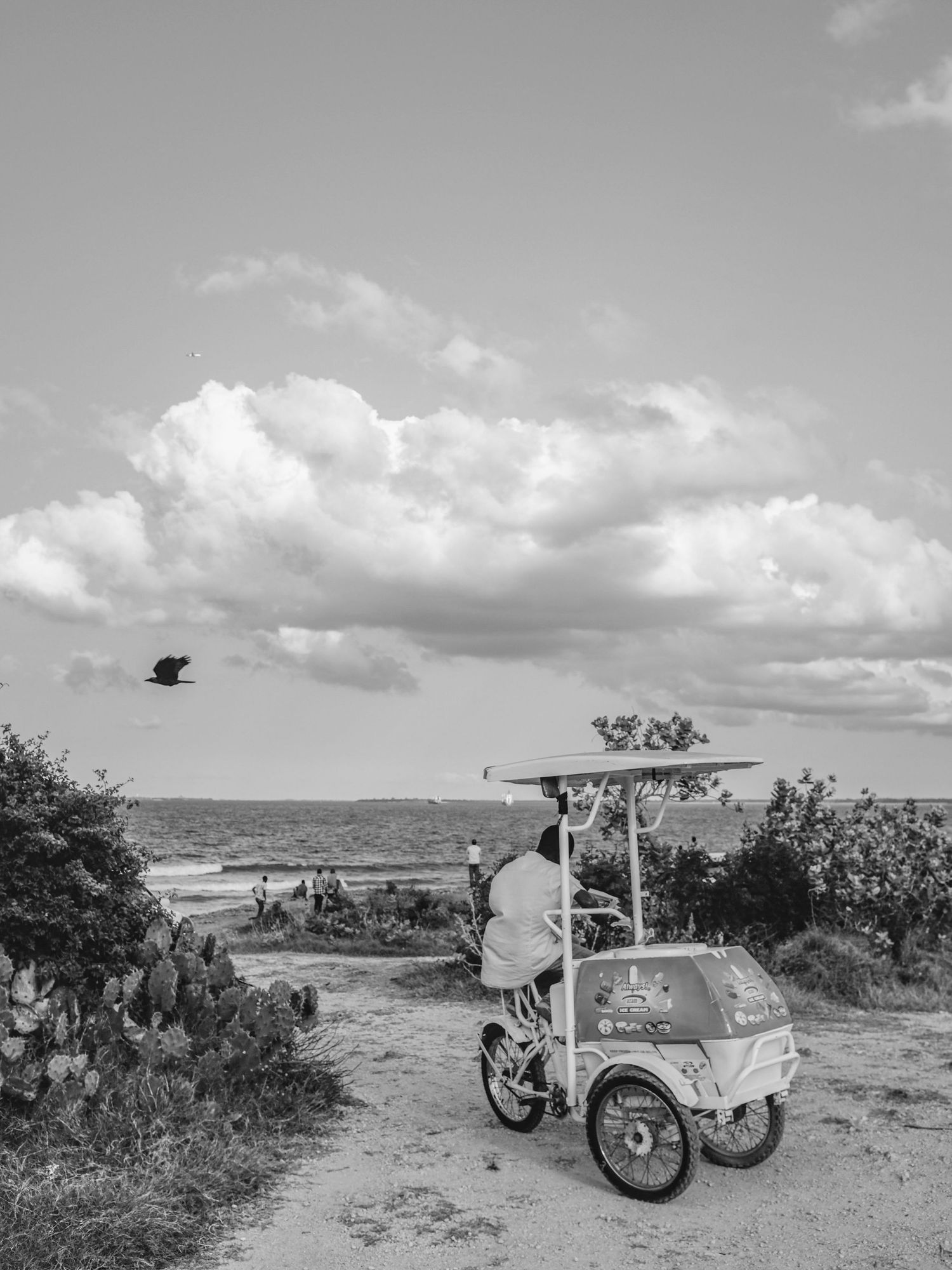 Black and white landscape with vintage bicycle cart against desert backdrop.