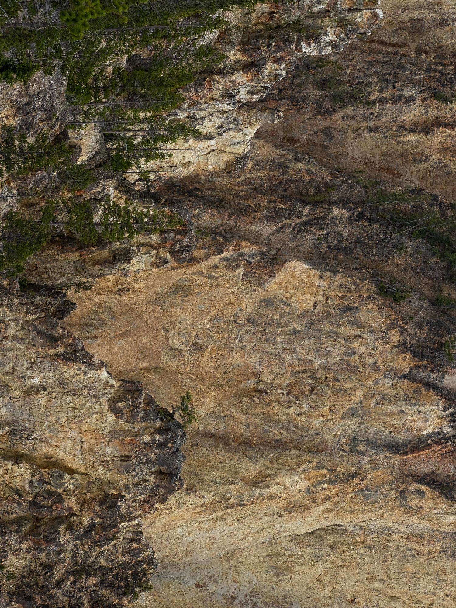 Weathered rock face showing layered geological formations with patches of vegetation.