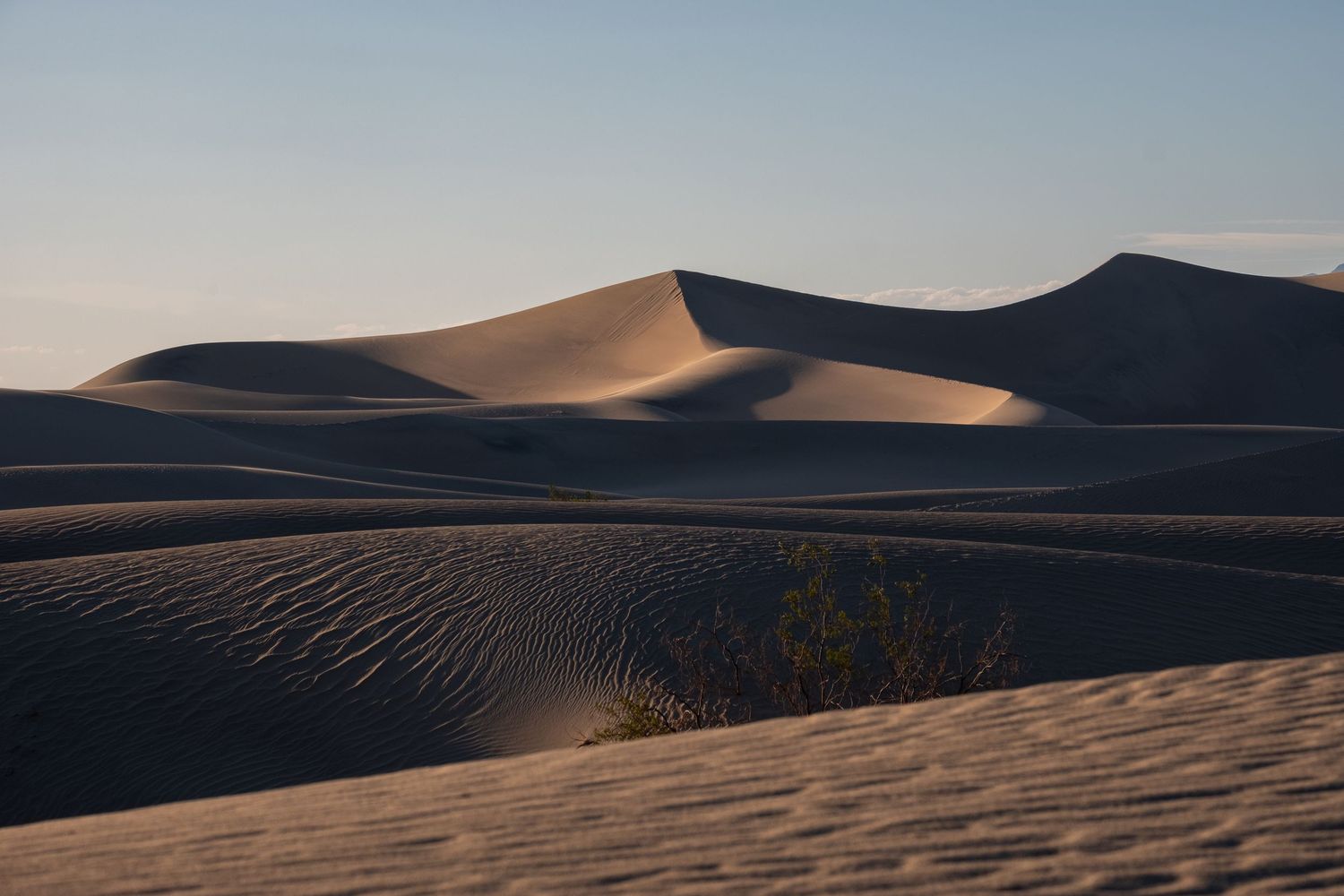 Rolling sand dunes create dramatic shadows and curves in desert landscape at dusk.