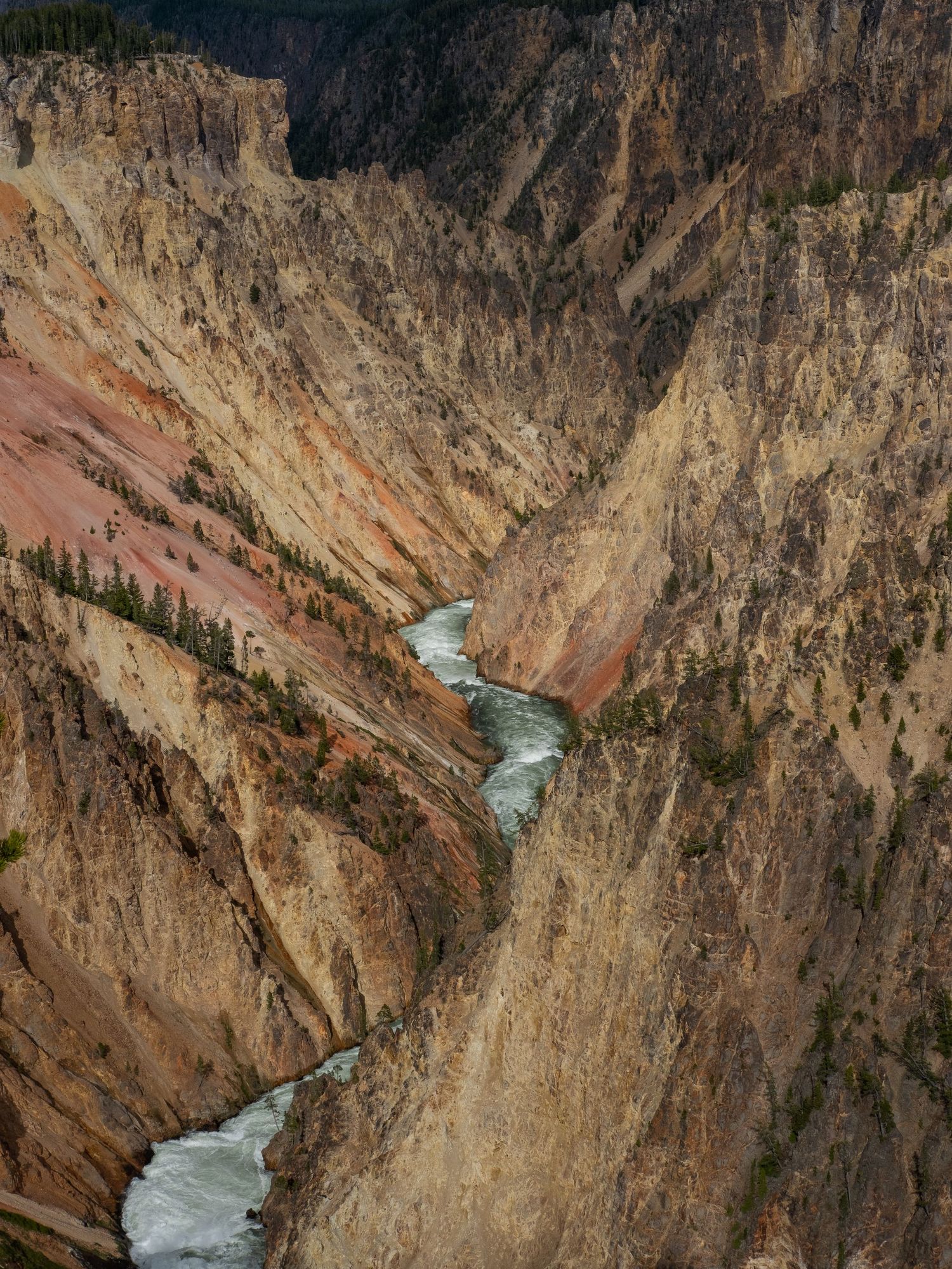 Aerial view of turquoise river snaking through deep canyon in Yellowstone National Park.