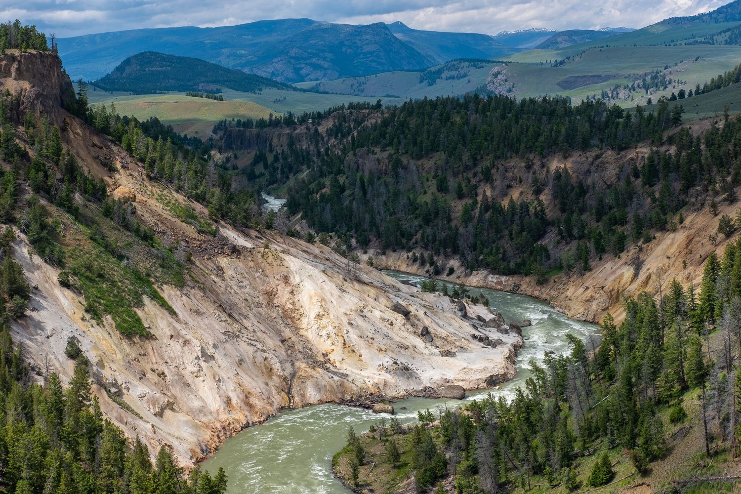 Panoramic view of Yellowstone's Grand Canyon with mineral-stained cliffs and pine forests.