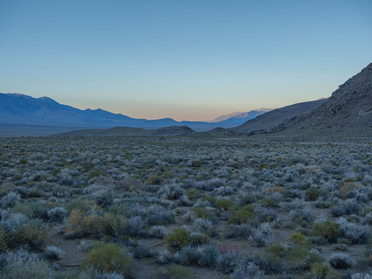 Desert landscape with sagebrush and mountains silhouetted against a clear blue sky.
