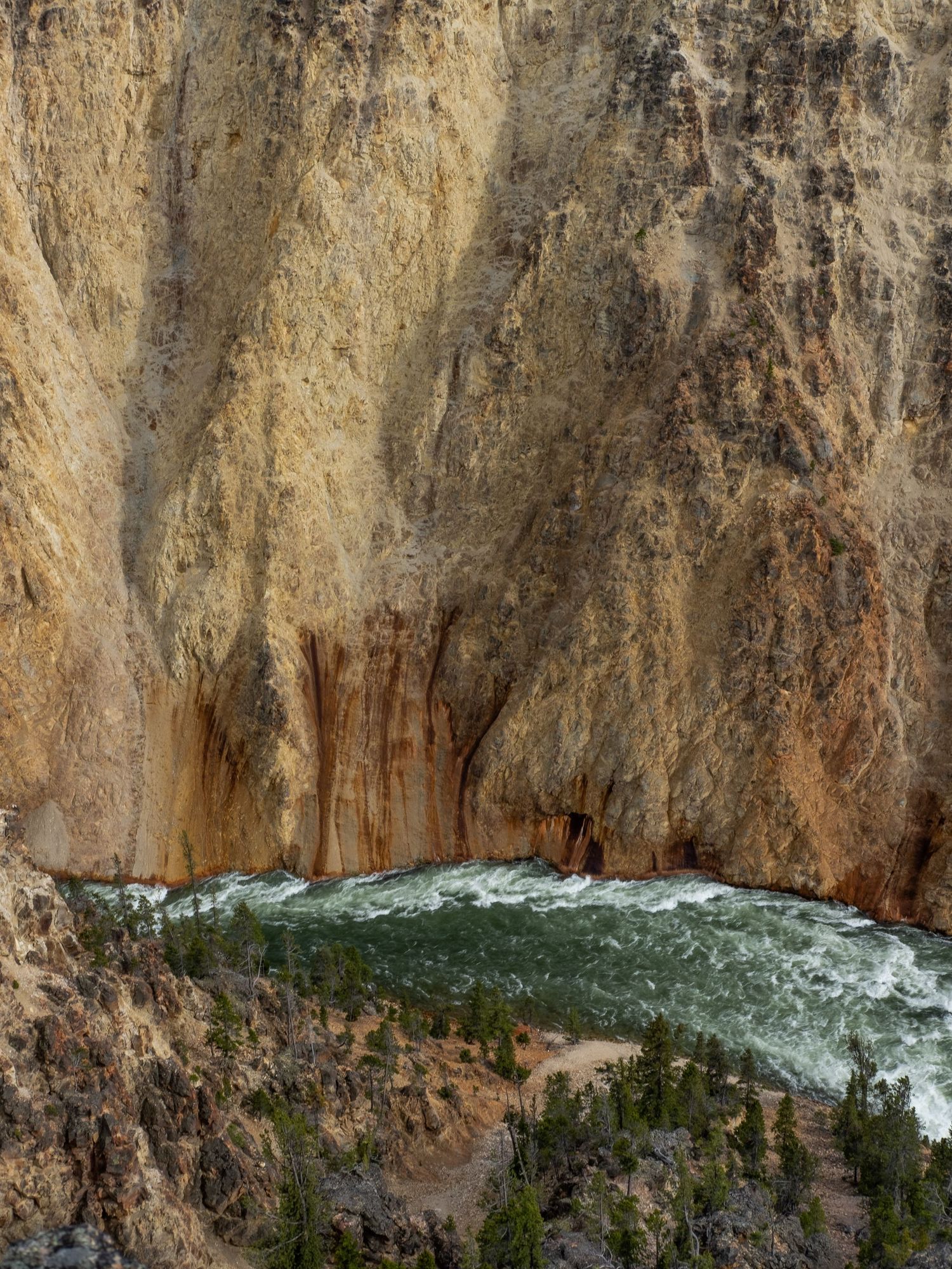 Rushing river cuts through steep canyon walls in Yellowstone National Park.