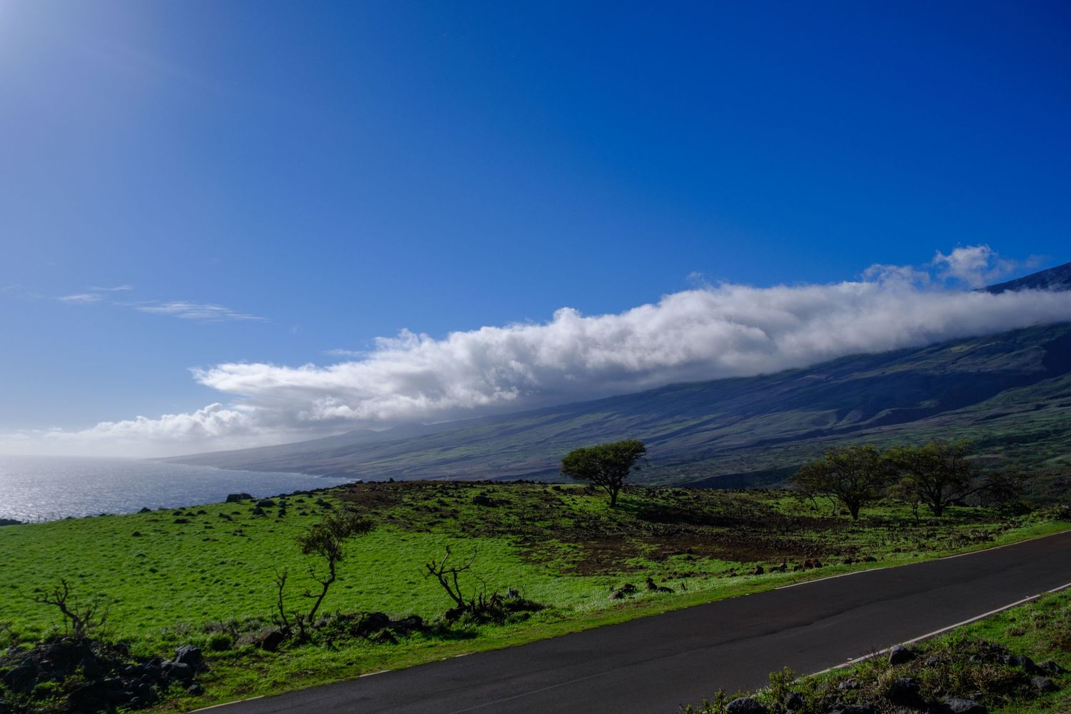 Panoramic view of lush green hills and mountains under dramatic blue sky and white clouds in Hawaii.