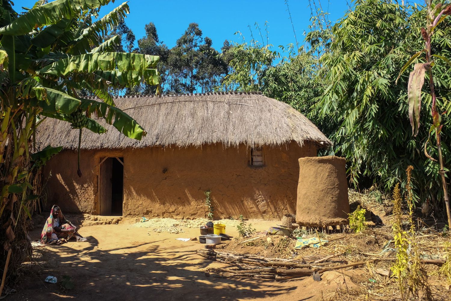 Traditional thatched-roof huts and buildings nestled among lush green vegetation in a tropical setting.