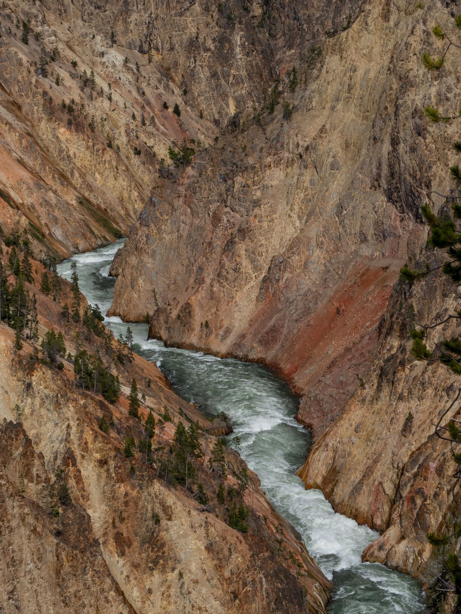 Winding river carves through dramatic canyon walls in Yellowstone National Park.