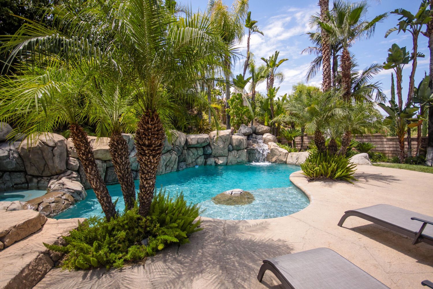 Tropical backyard oasis with palm trees surrounding a custom rock pool and waterfall feature.
