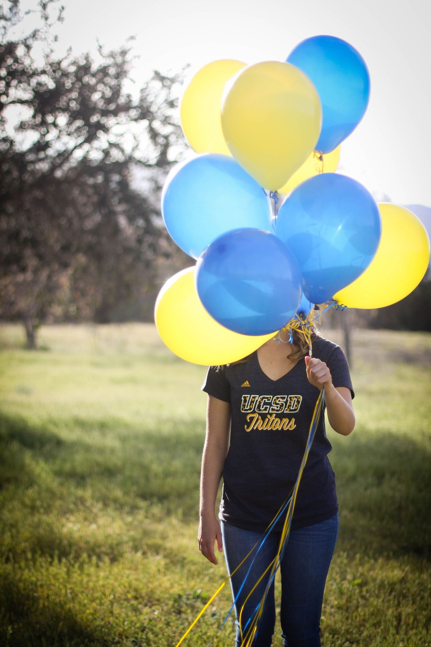 Person holding blue and yellow balloons in a grassy field on sunny day.