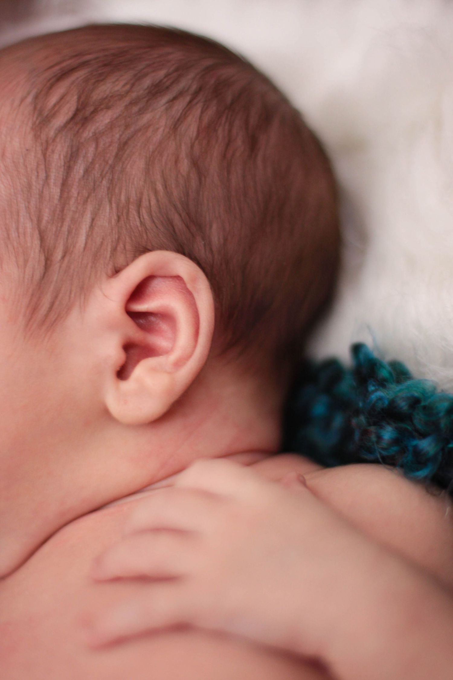 Close-up profile view of sleeping newborn against white background.