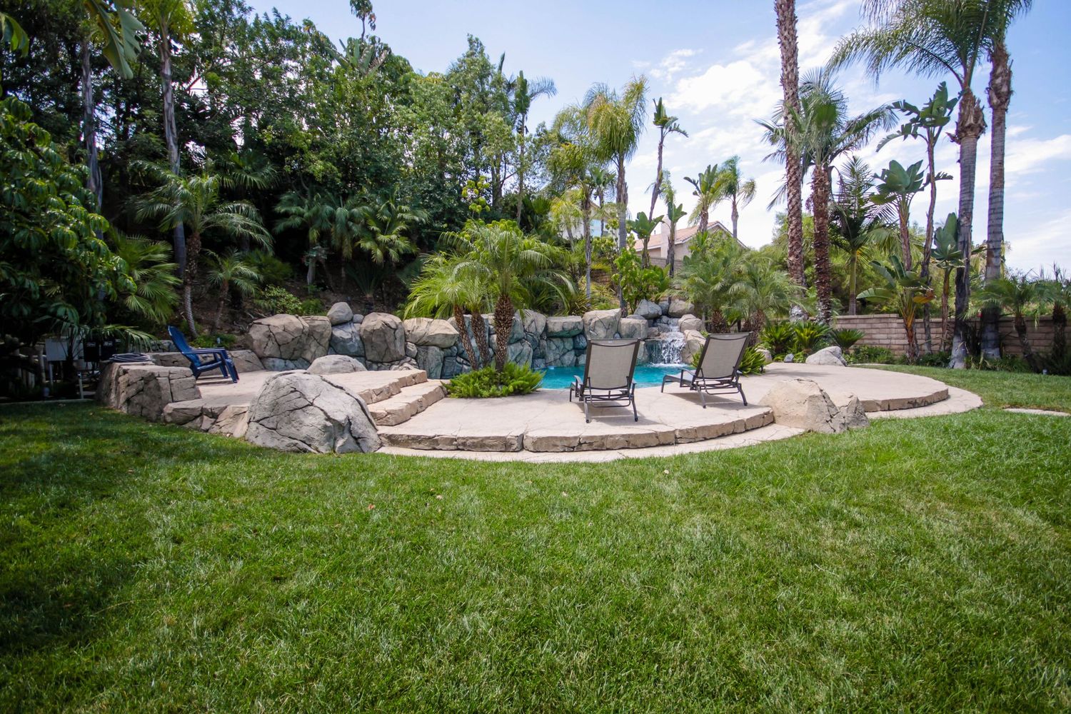 Landscaped backyard with lush green lawn, palm trees, and rock features.