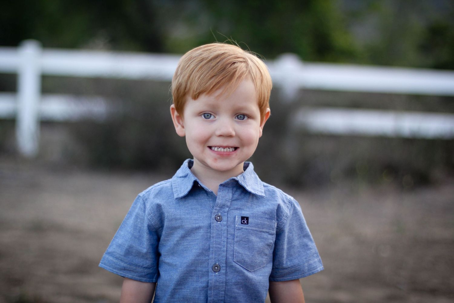 Young child in blue button-down shirt smiling during outdoor photo session.