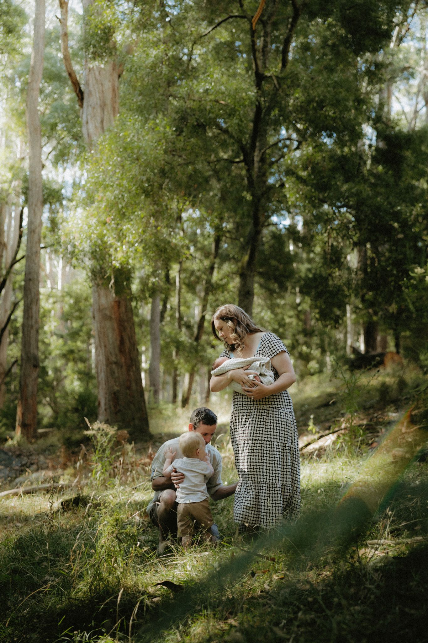 Family in sunlit forest, mother in gingham dress holds newborn while father crouches with toddler among tall eucalyptus trees.
