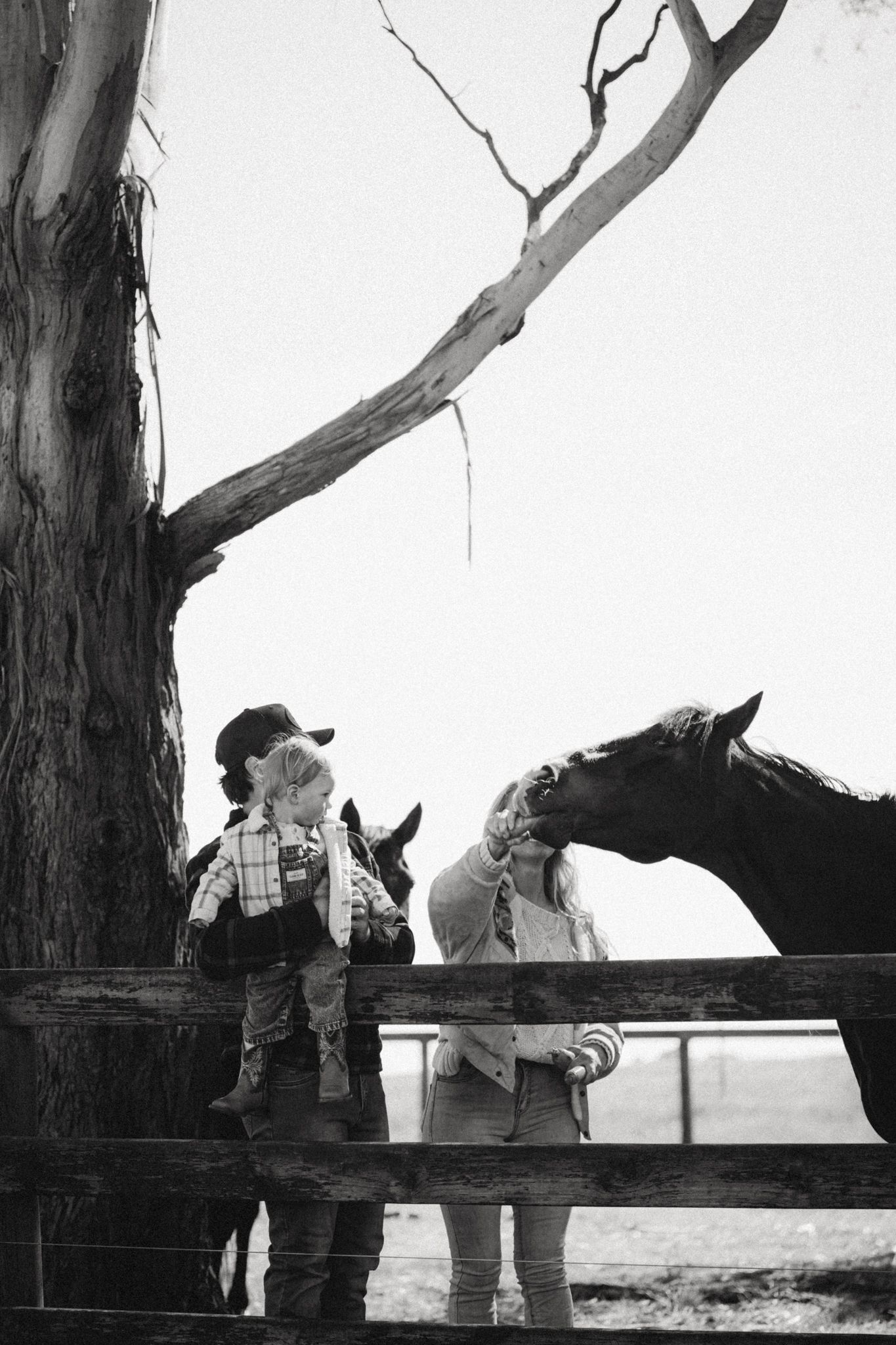 Black and white photo of a child in cowboy hat and adult petting a dark horse by a wooden fence near a bare tree.