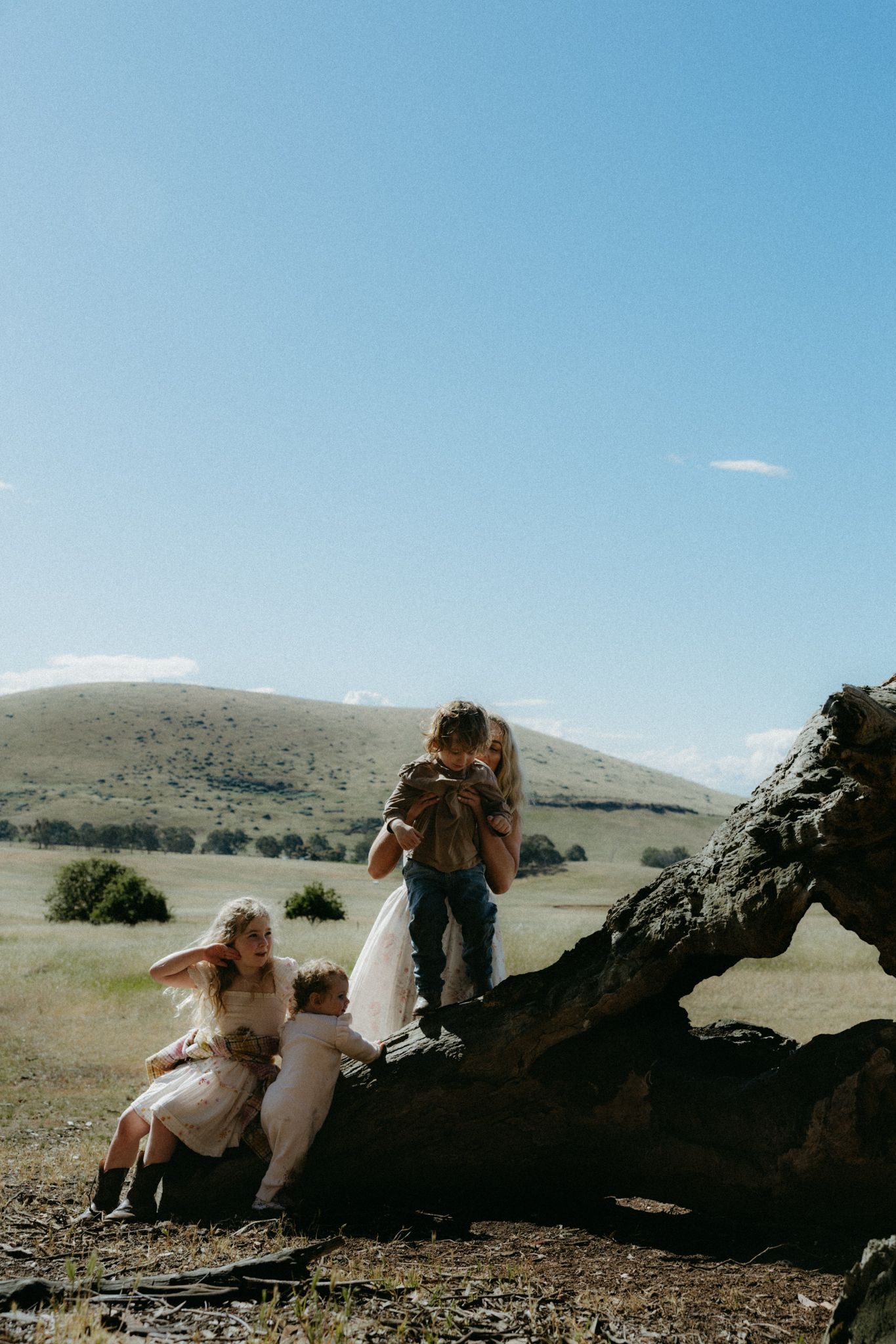 Children playing on a fallen tree trunk in a scenic green meadow with rolling hills under a clear blue sky.