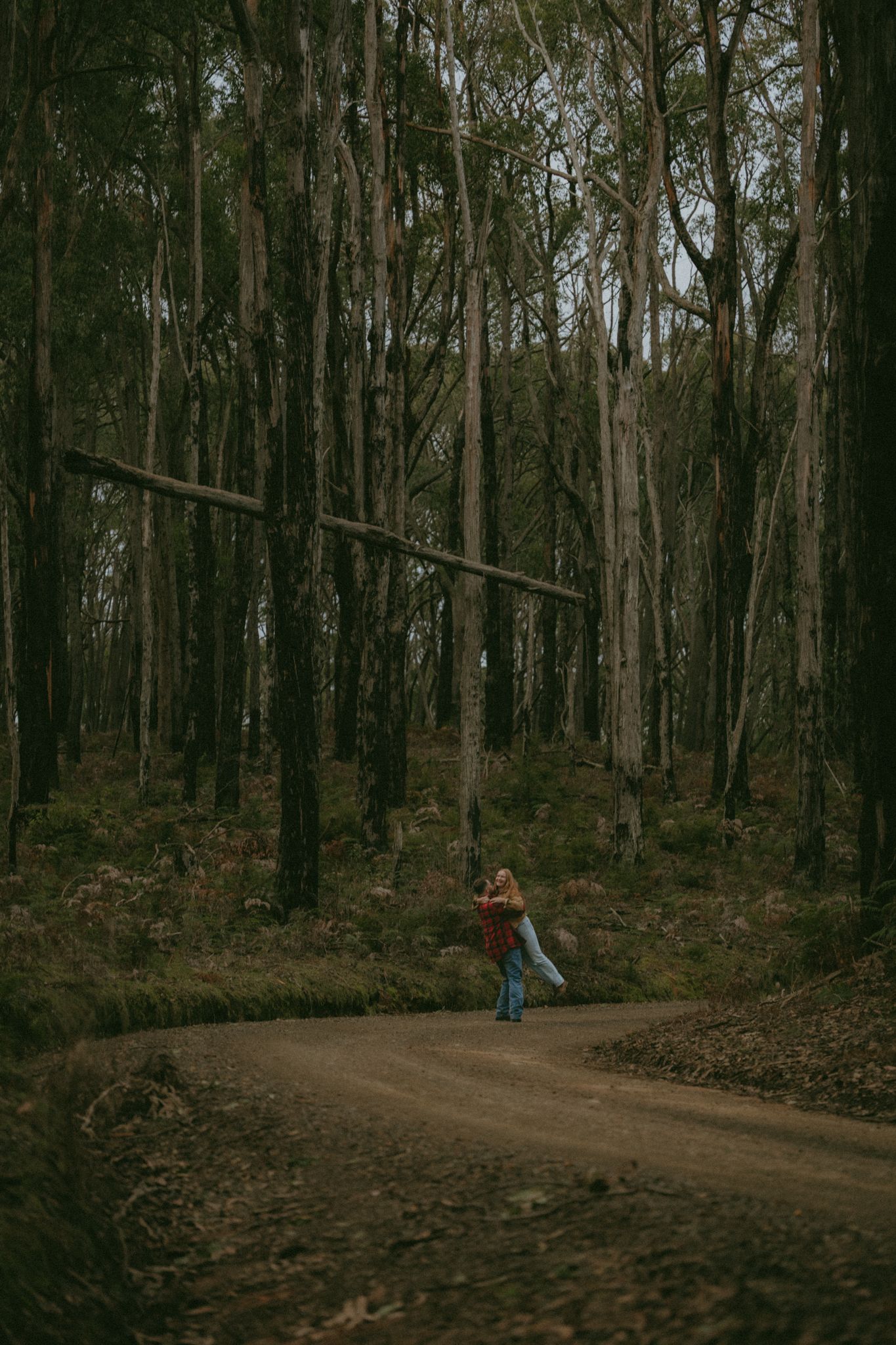 A lone person walks along a winding dirt road through a dark, dense forest with tall slender trees.