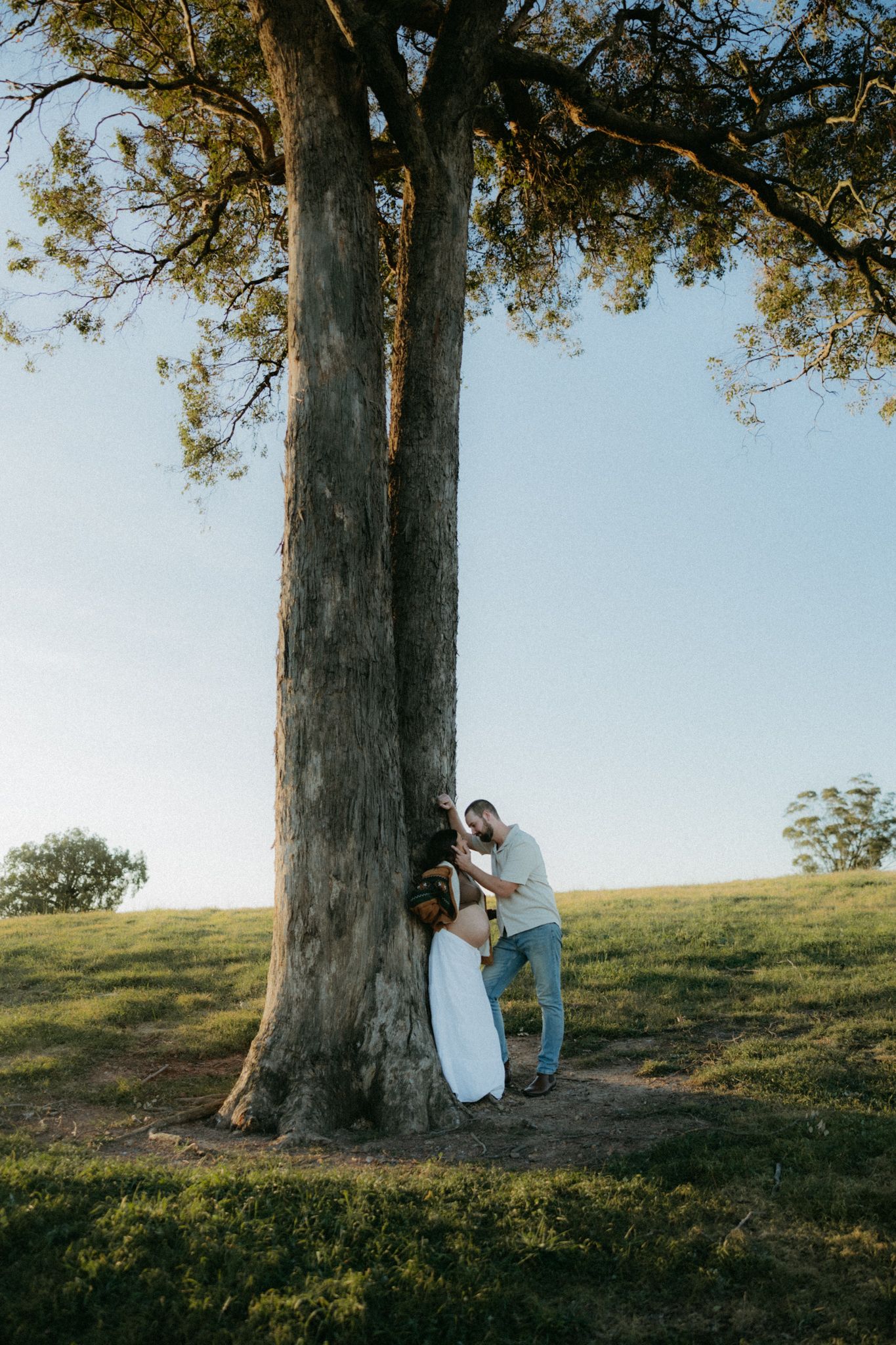 Couple sharing a romantic moment leaning against a large tree trunk in a sunlit green field during golden hour.