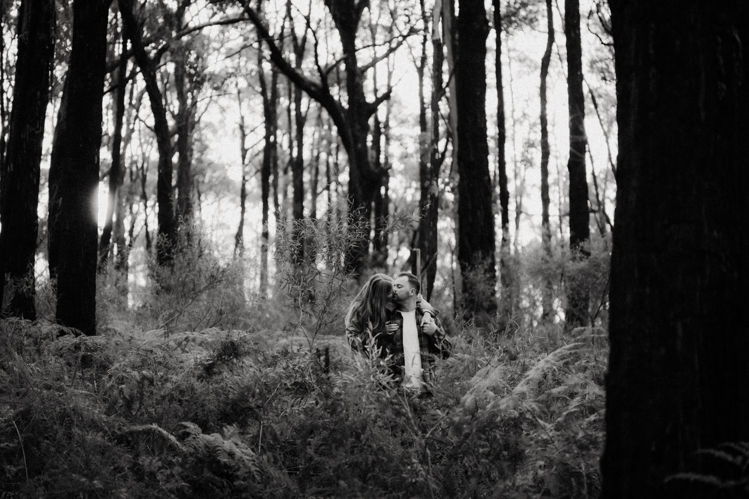 Black and white forest photo with ferns and tall trees, mysterious figure partially hidden among dense woodland undergrowth.