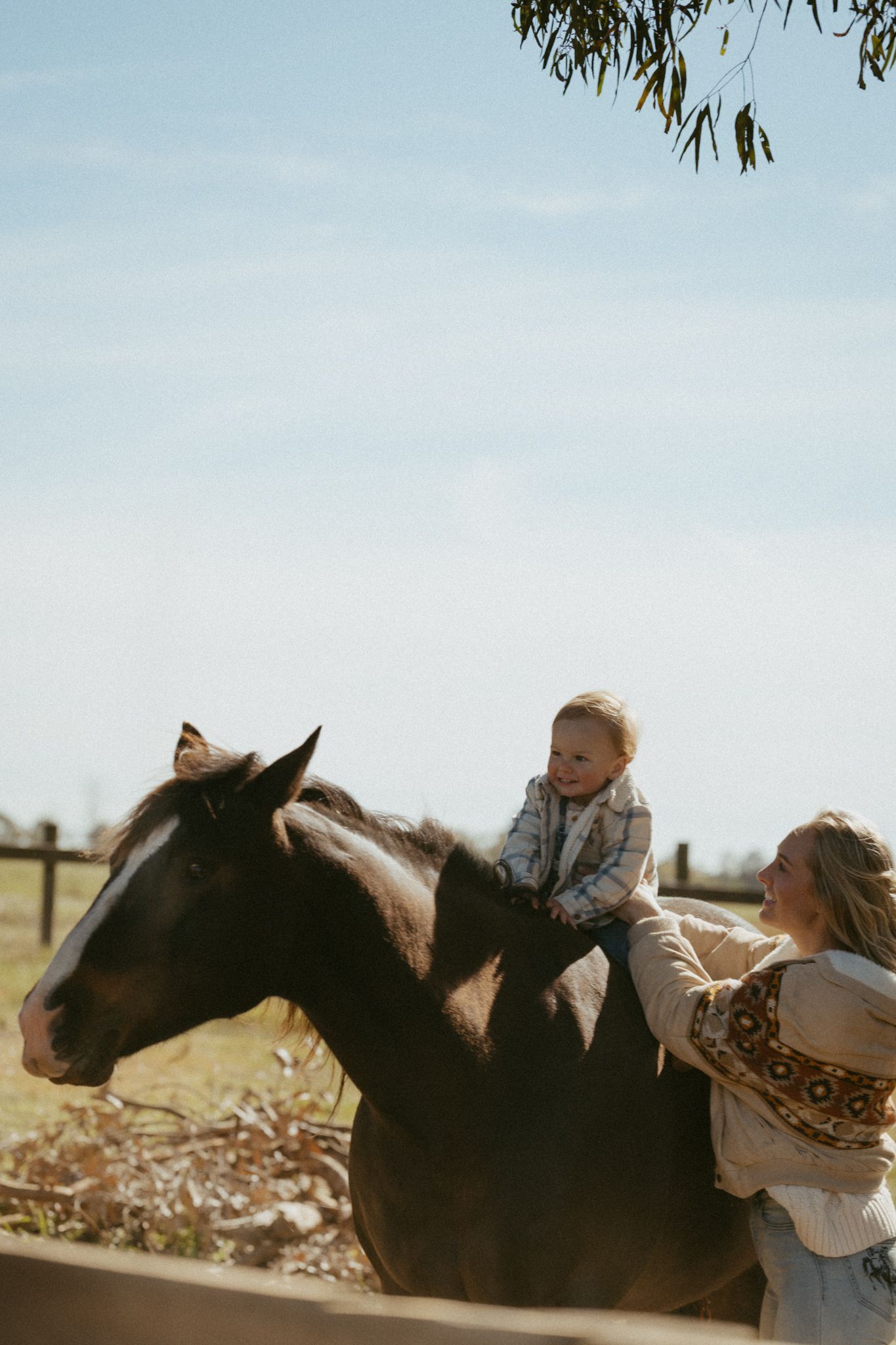 A woman helps a smiling toddler sit on a dark brown horse at a sunny farm with a wooden fence.
