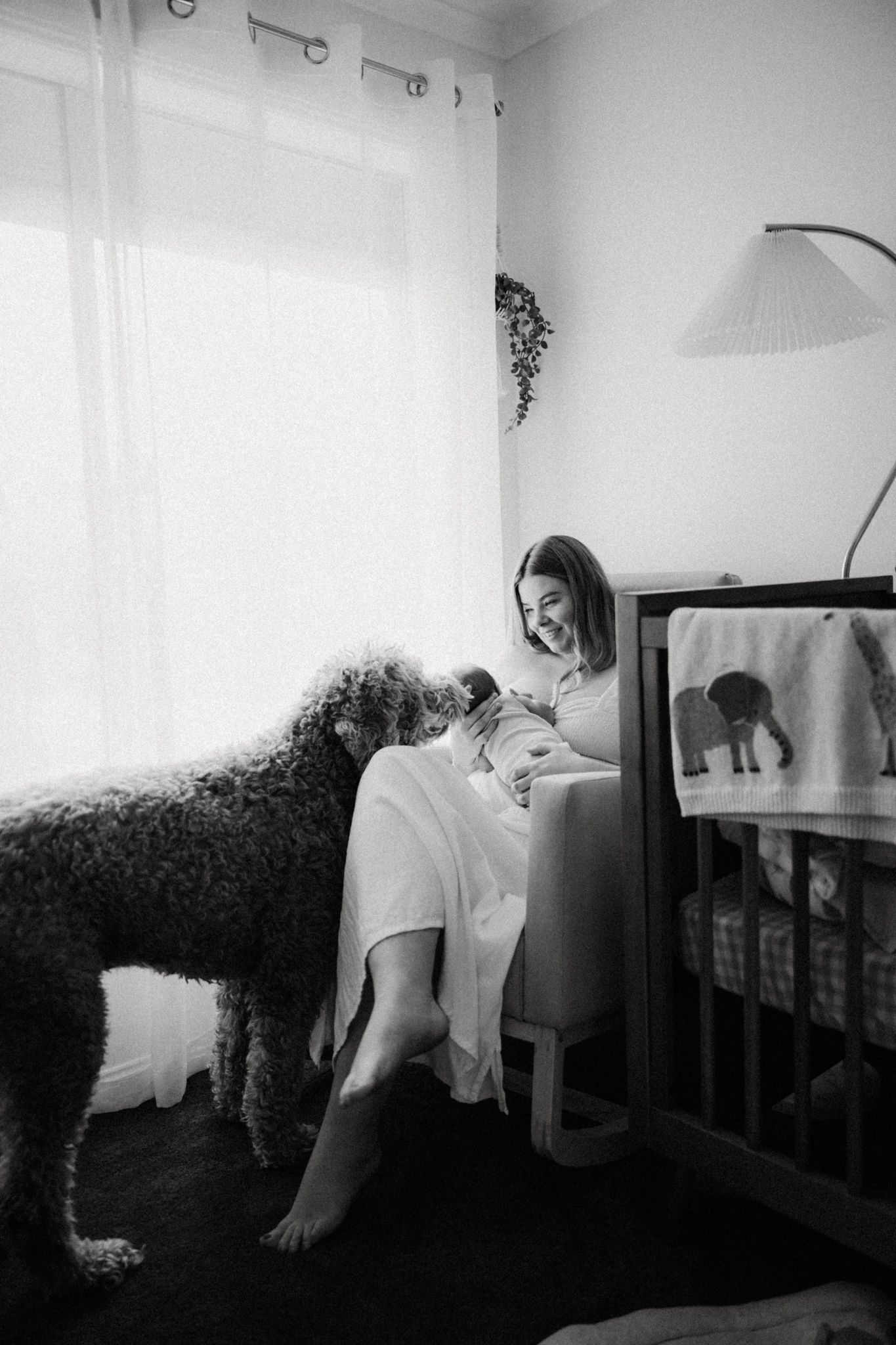 Black and white photo of smiling mother holding newborn in nursery chair with large curly dog nearby.