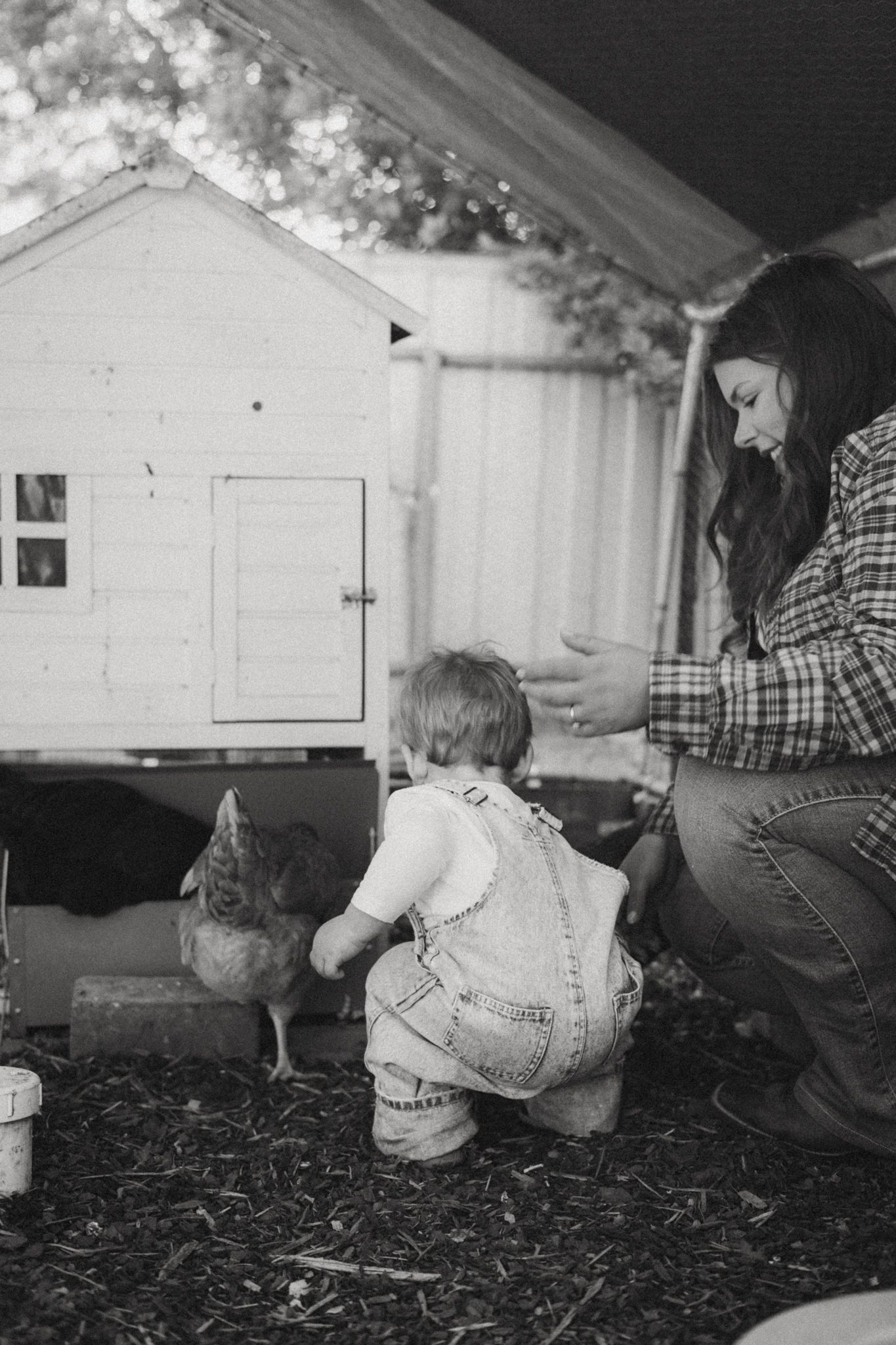 Black and white photo of a toddler and mother interacting with a chicken near a small white chicken coop on a farm.