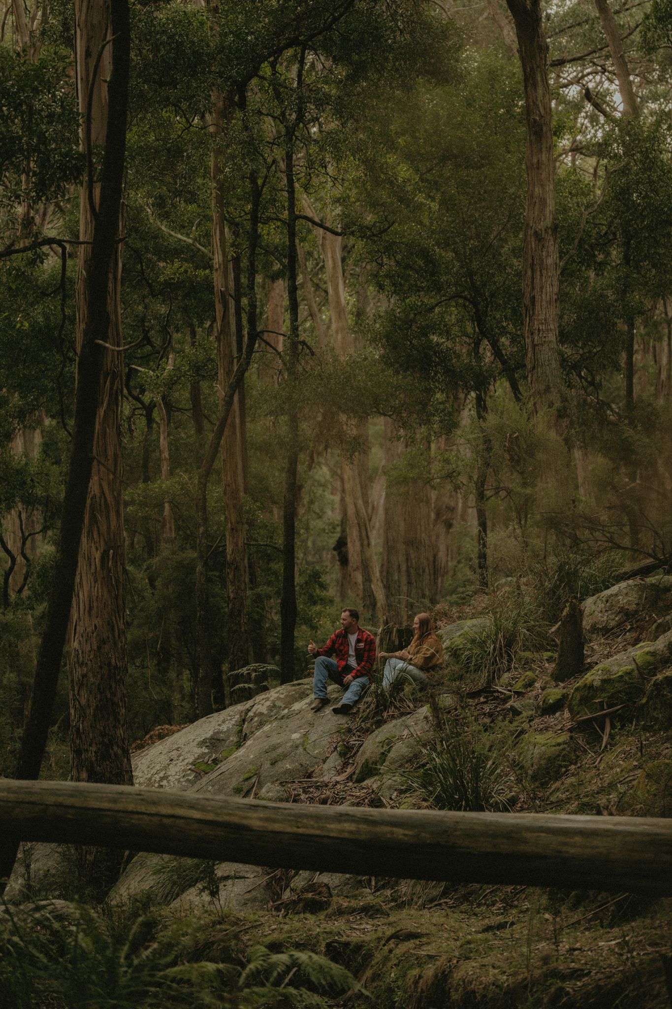 Two people sitting on a mossy rock surrounded by tall trees in a lush green forest.