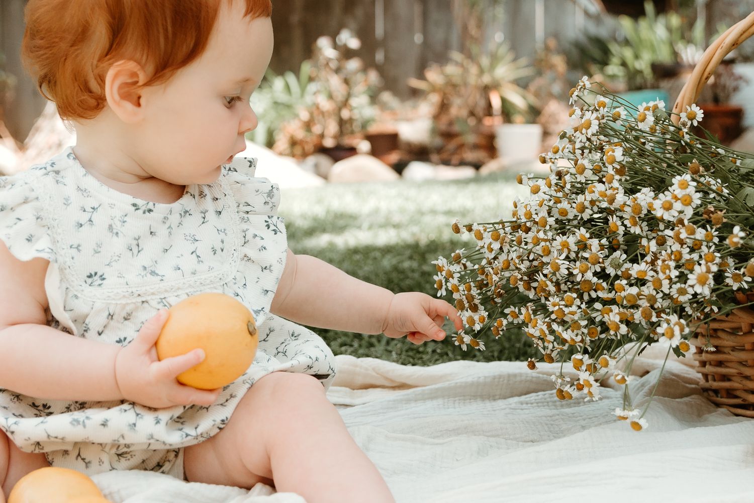 A small child in a floral dress plays with citrus fruits on a sunny day.