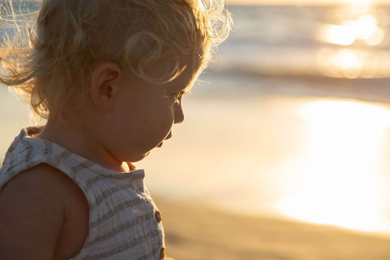 Golden sunset light illuminates beach scene with soft focus and warm tones.