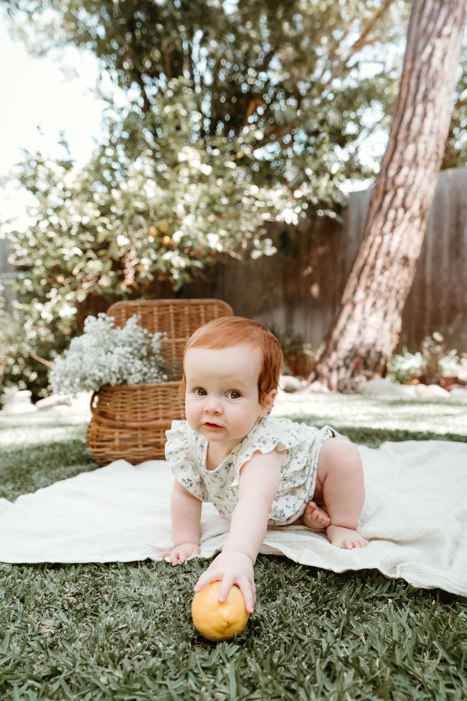 A baby in a floral dress lies on a white blanket outdoors with oranges and a wicker basket nearby.