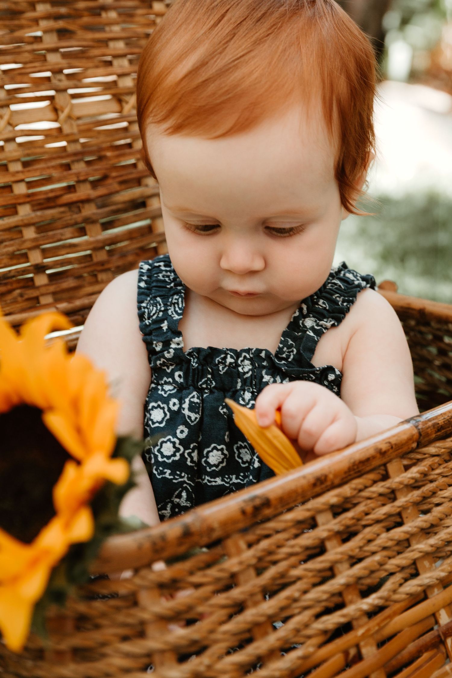 Baby in navy patterned dress explores wicker basket details during outdoor photoshoot.