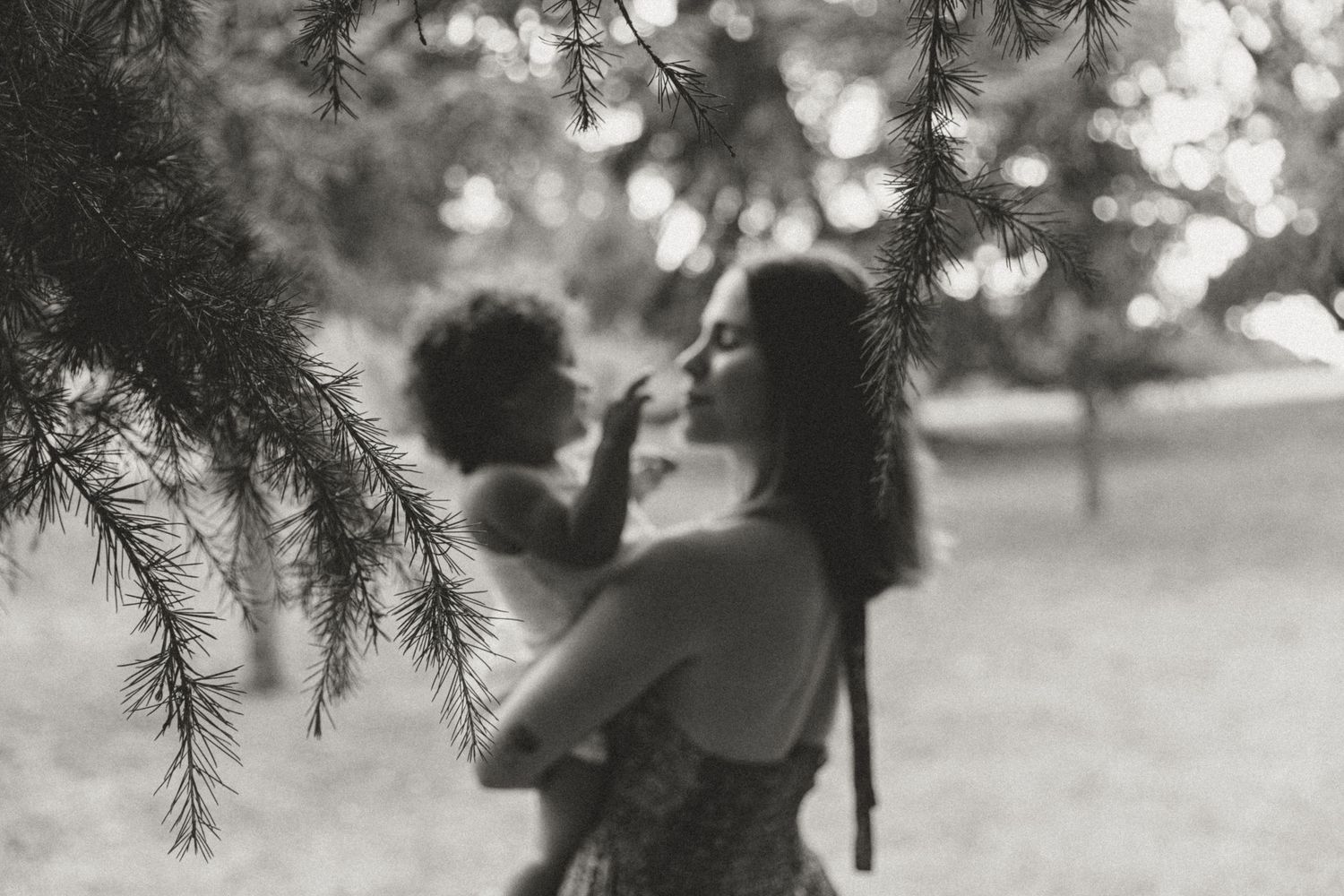 A dreamy black and white scene under pine trees with soft bokeh lighting.