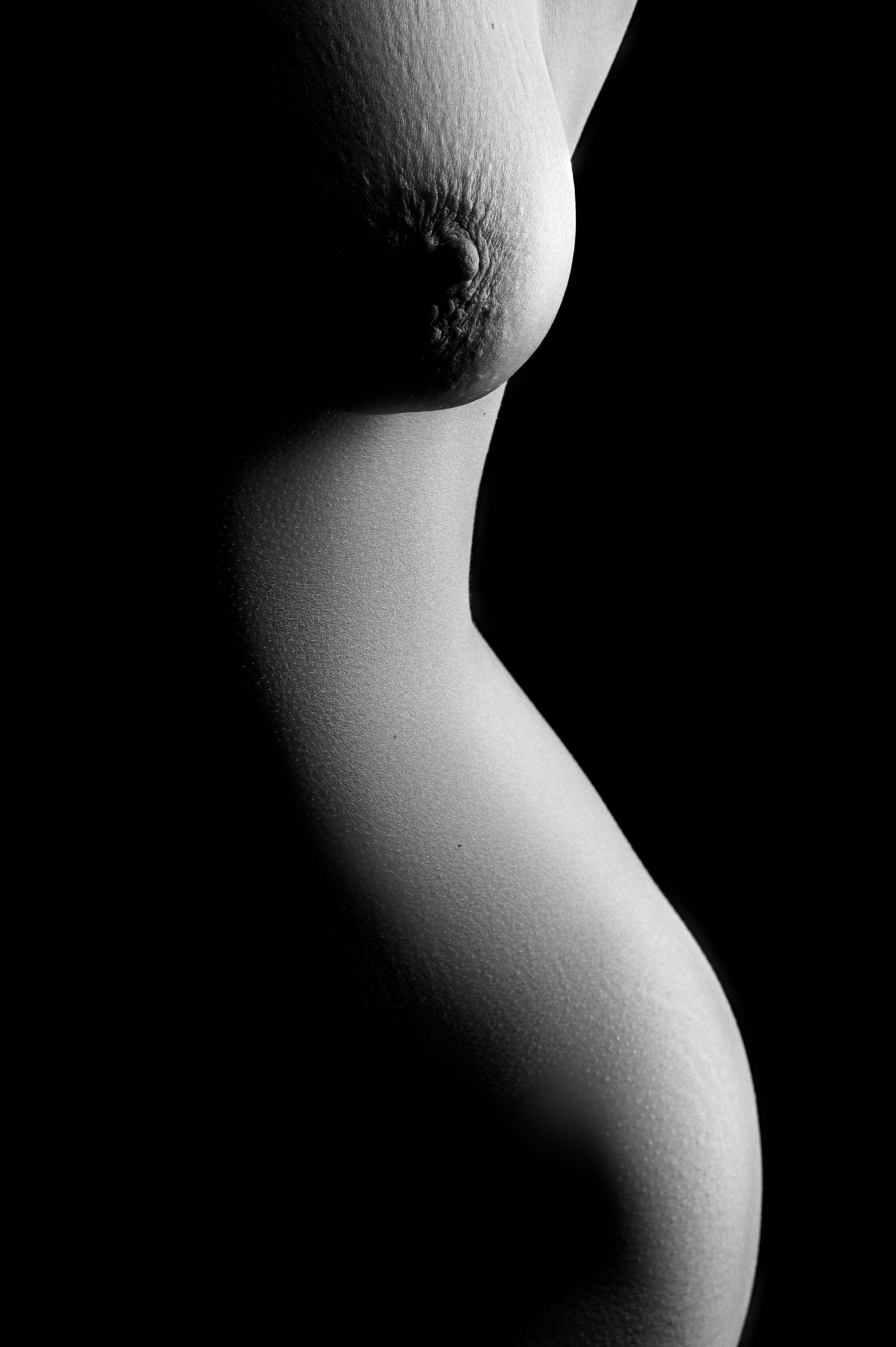 Black and white artistic nude photograph highlighting the curves of a pregnant woman's silhouette against dark background.
