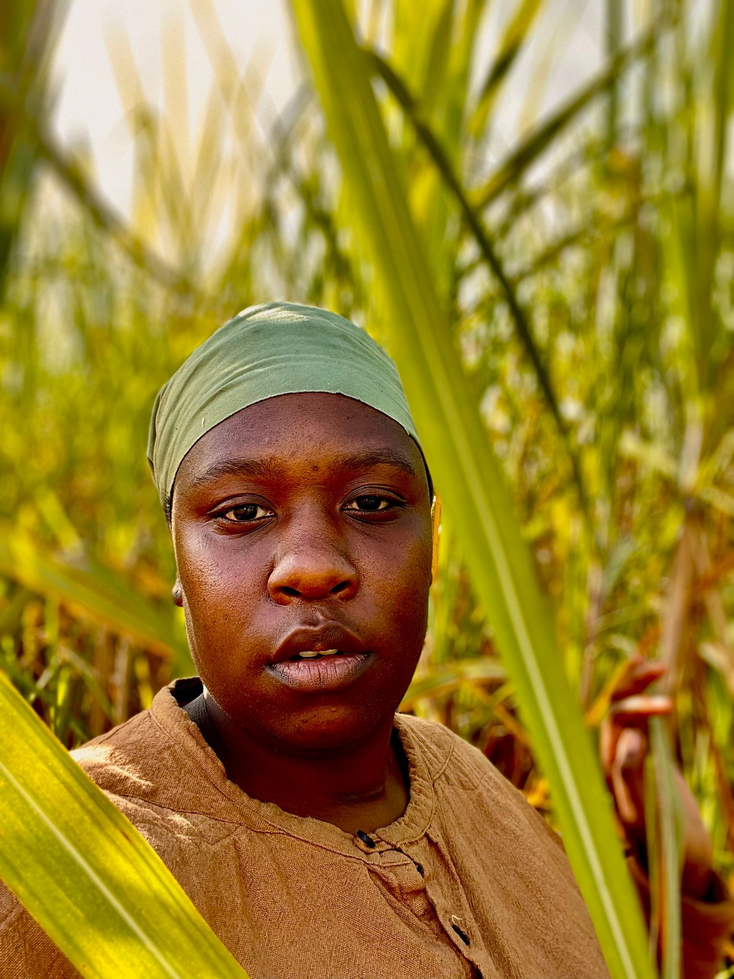 Portrait of someone wearing a green headscarf among tall sugarcane stalks.
