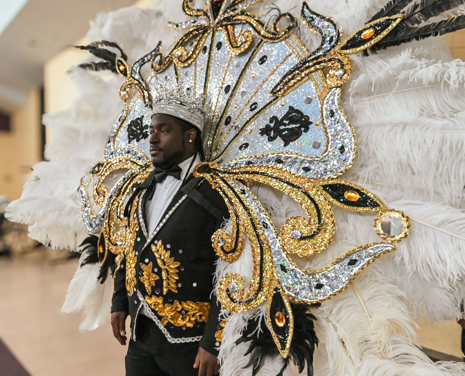 Decorative gold and white feathered carnival mask details with intricate patterns.