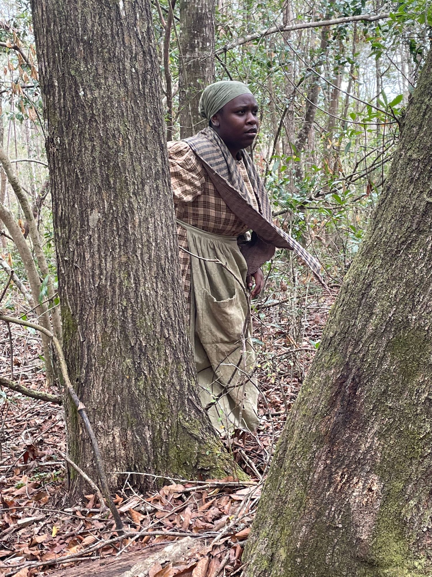 Person in plaid clothing exploring a wooded area with fallen leaves.